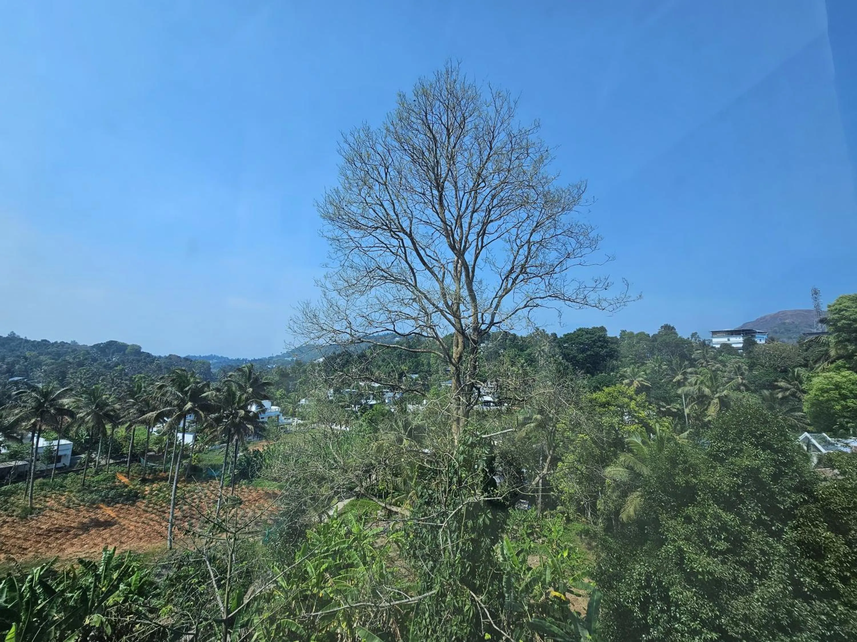 Mountain view in MIST RESIDENCY