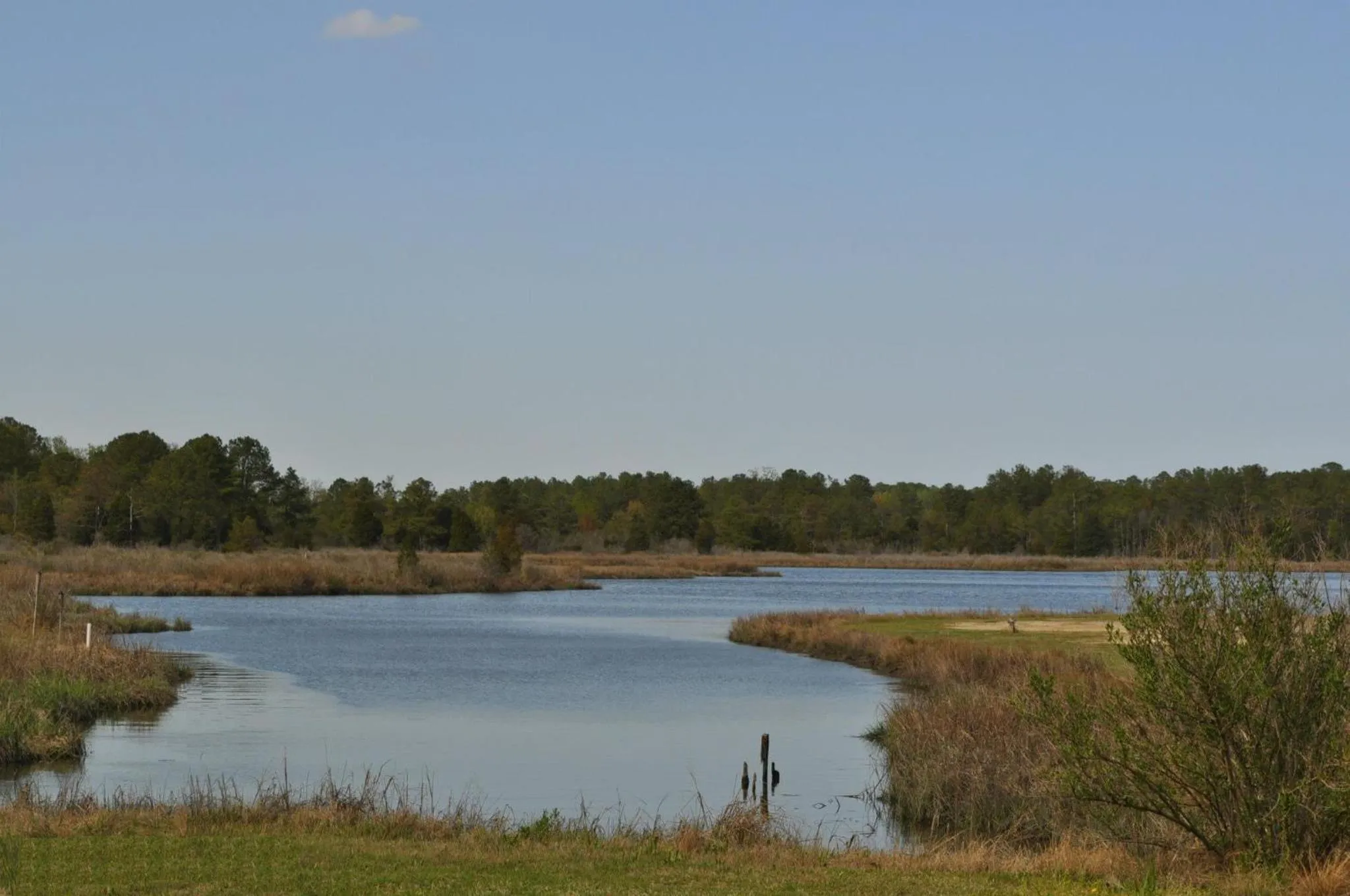 River view in Camp Cardinal