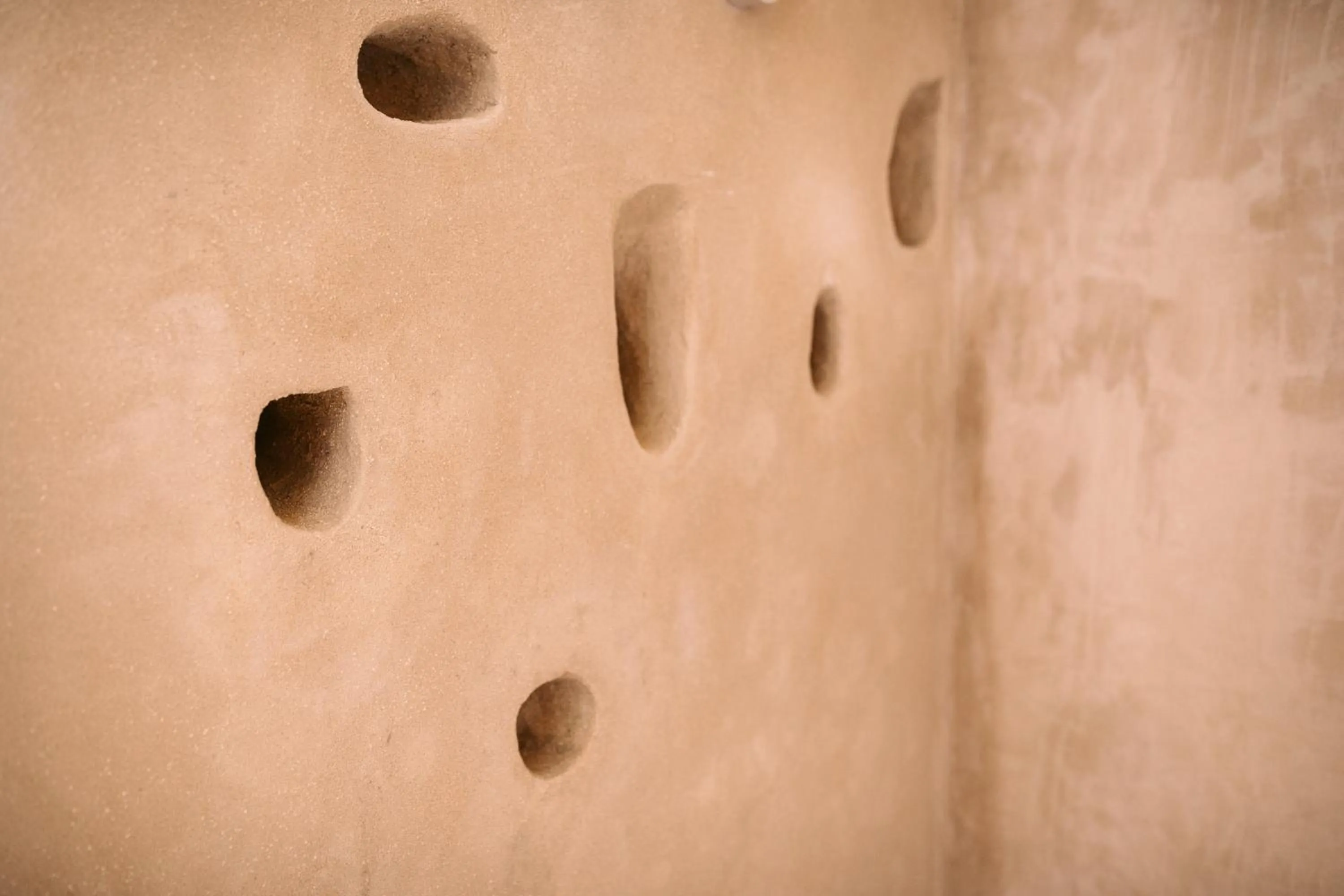 Area and facilities in Casa Aura Hotel