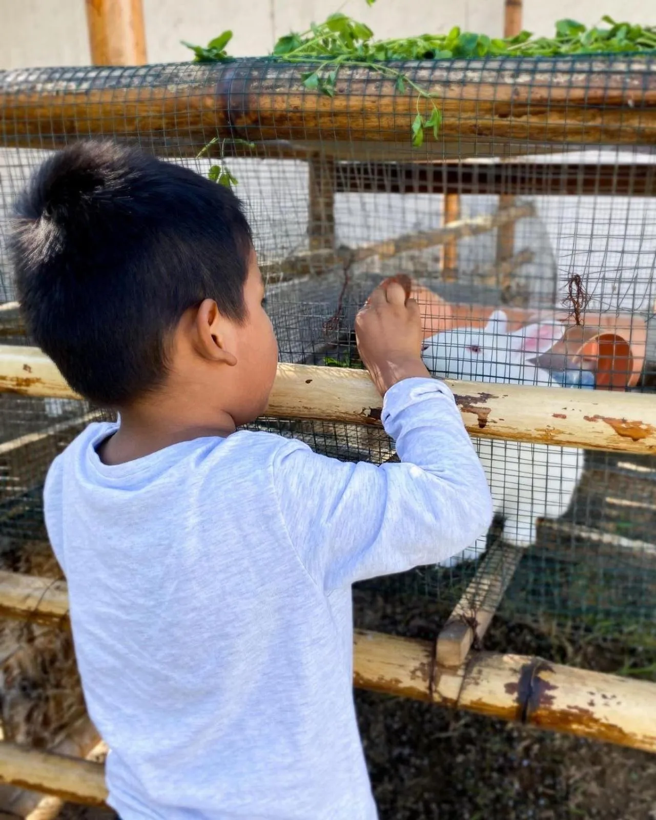 Day in Hotel La Colina