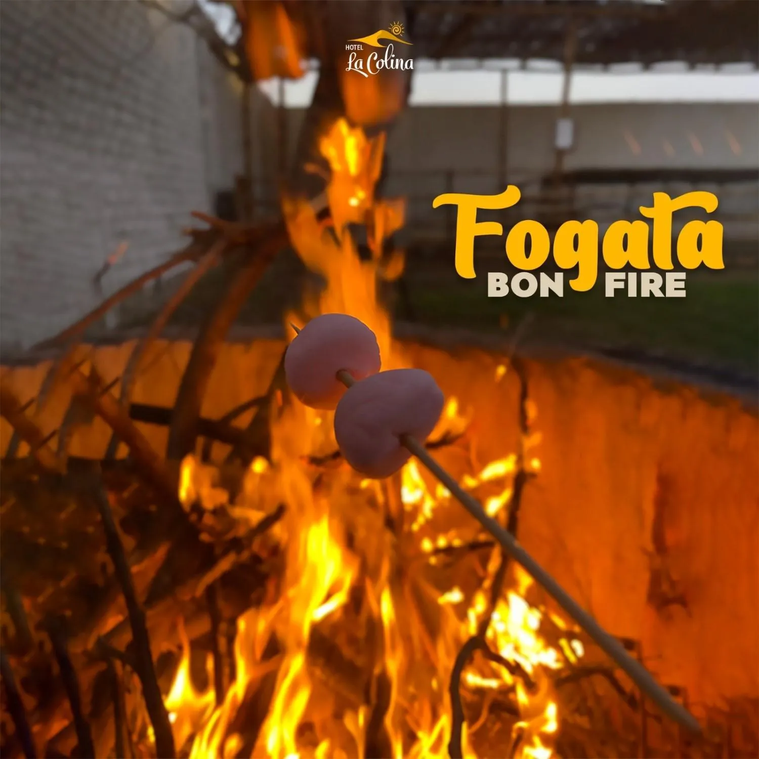 Night in Hotel La Colina