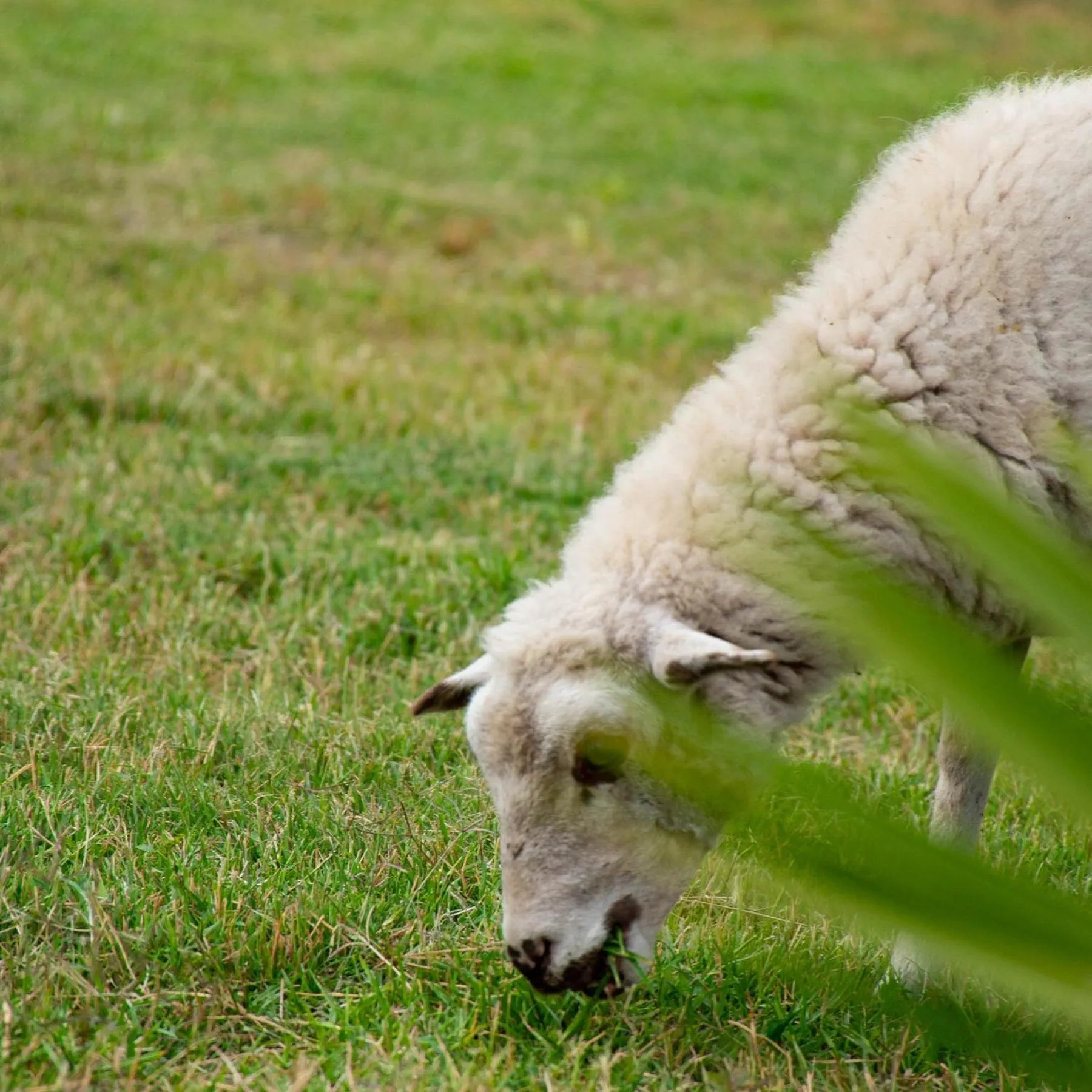 Day in Hotel La Colina
