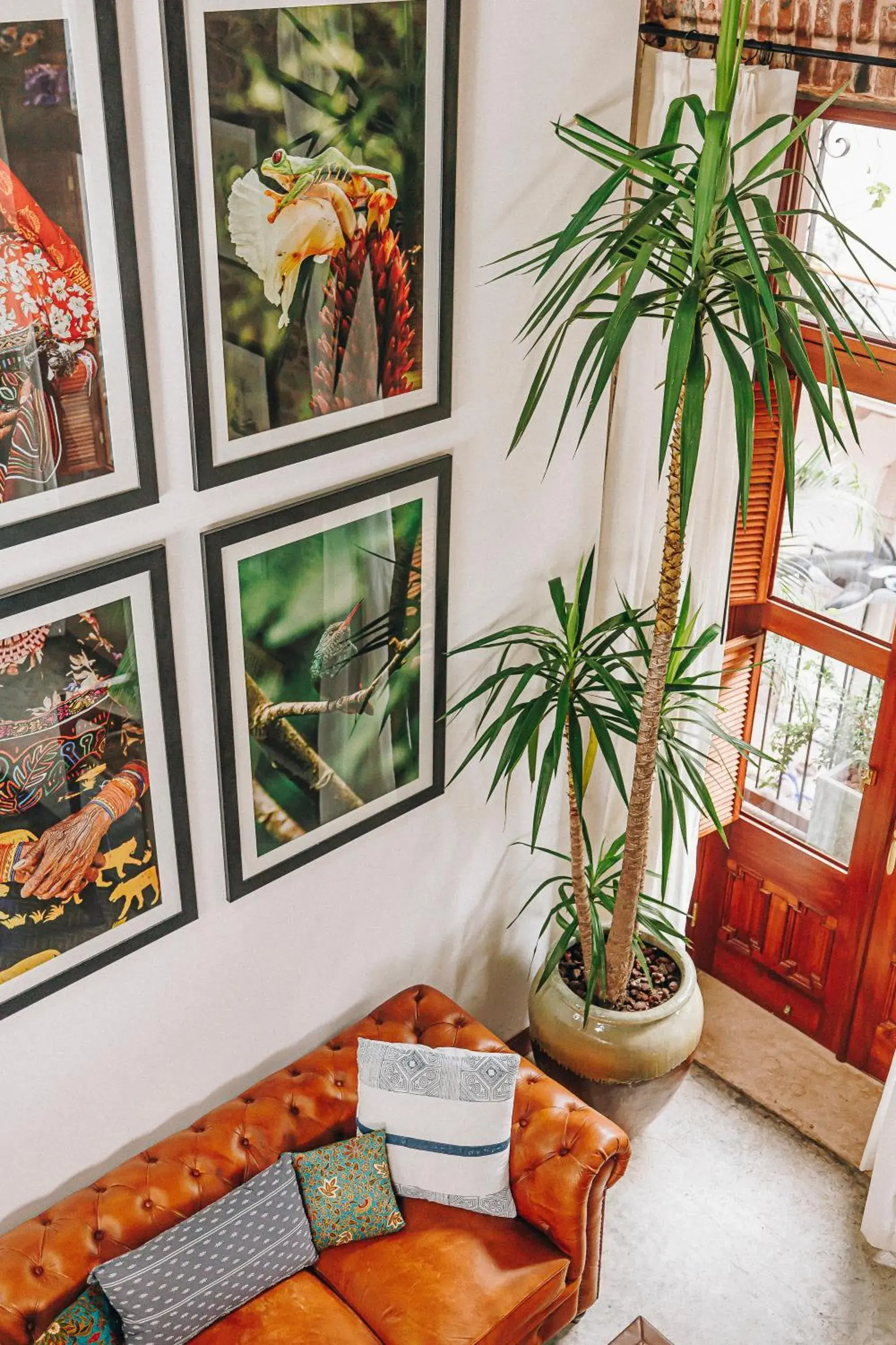 Superior Suite - single occupancy in Amarla Boutique Hotel Casco Viejo - Adults Only Superior Suite - single occupancy in Amarla Boutique Hotel Casco Viejo - Adults Only