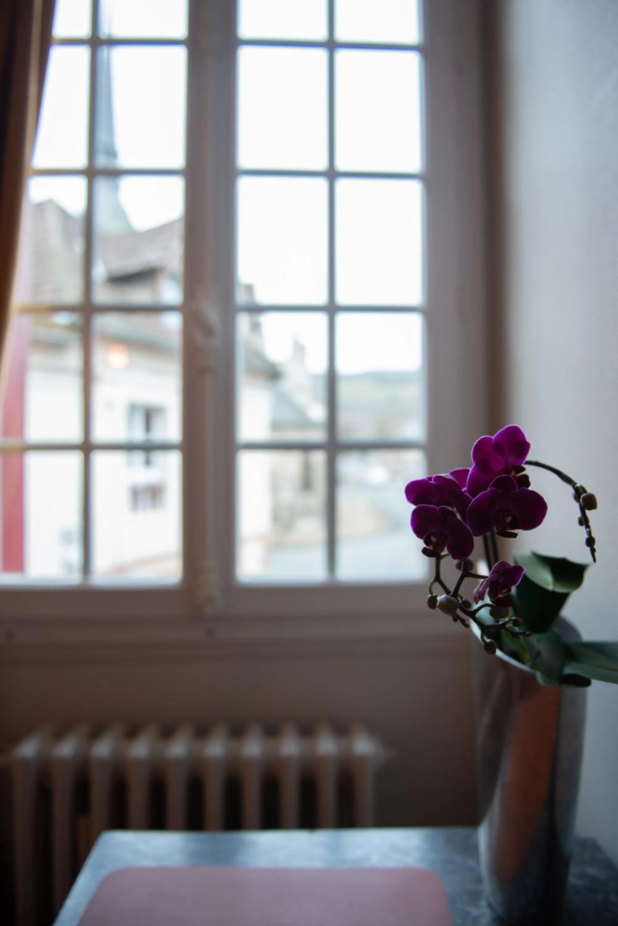Double Room with Private Bathroom in La Maison Carpe Diem