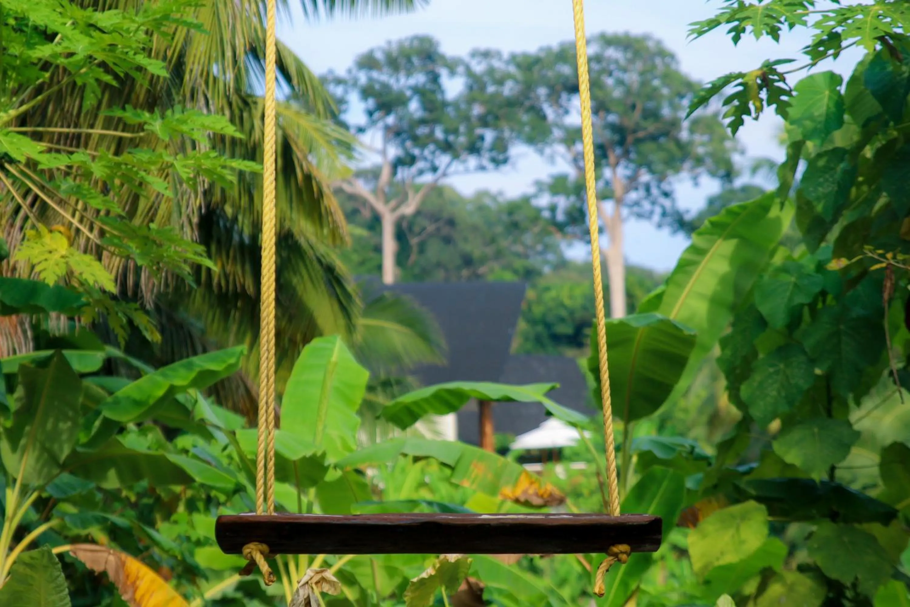 Natural landscape in Satya Boutique Resort & Spa