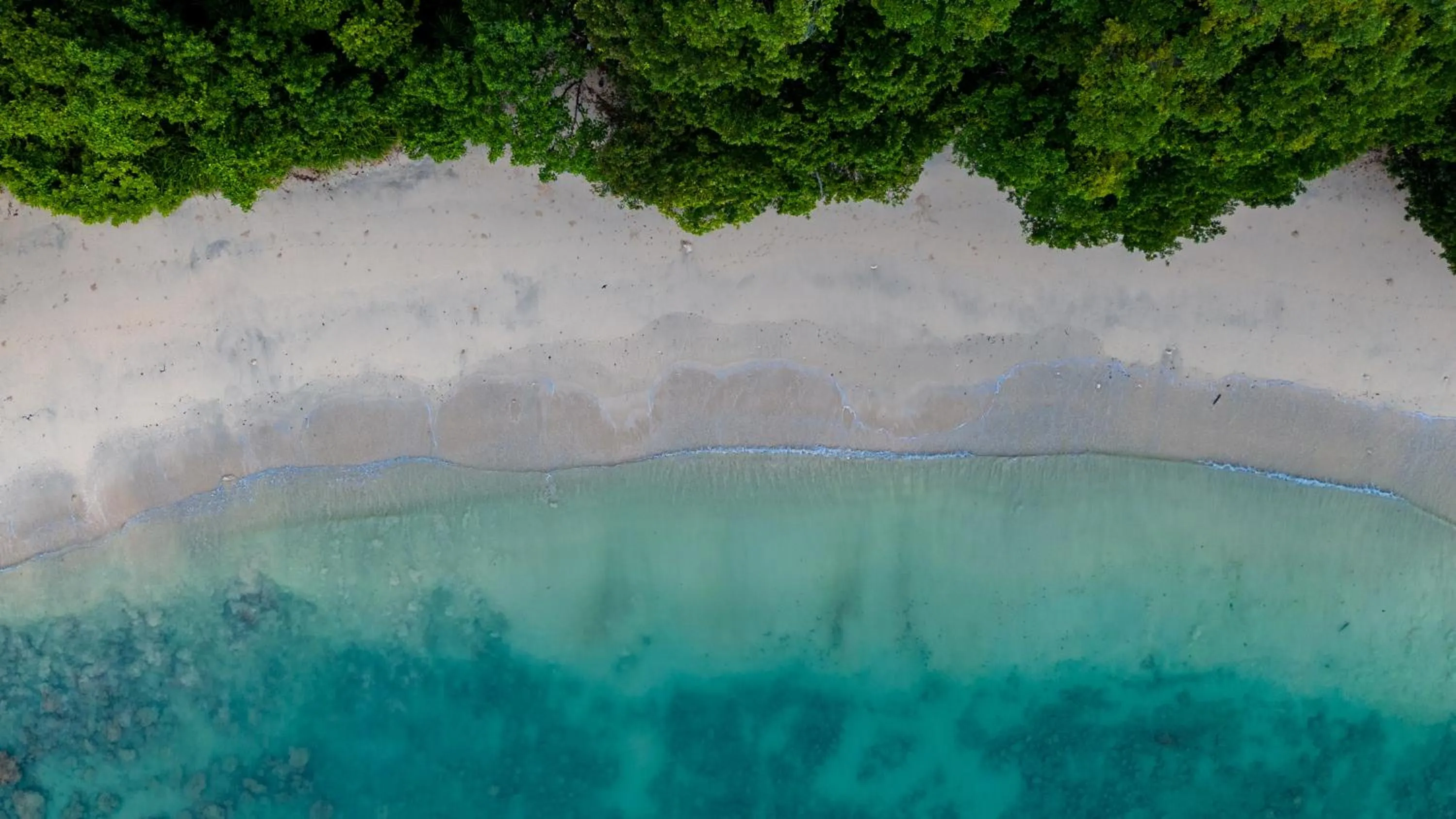 Beach in Satya Boutique Resort & Spa