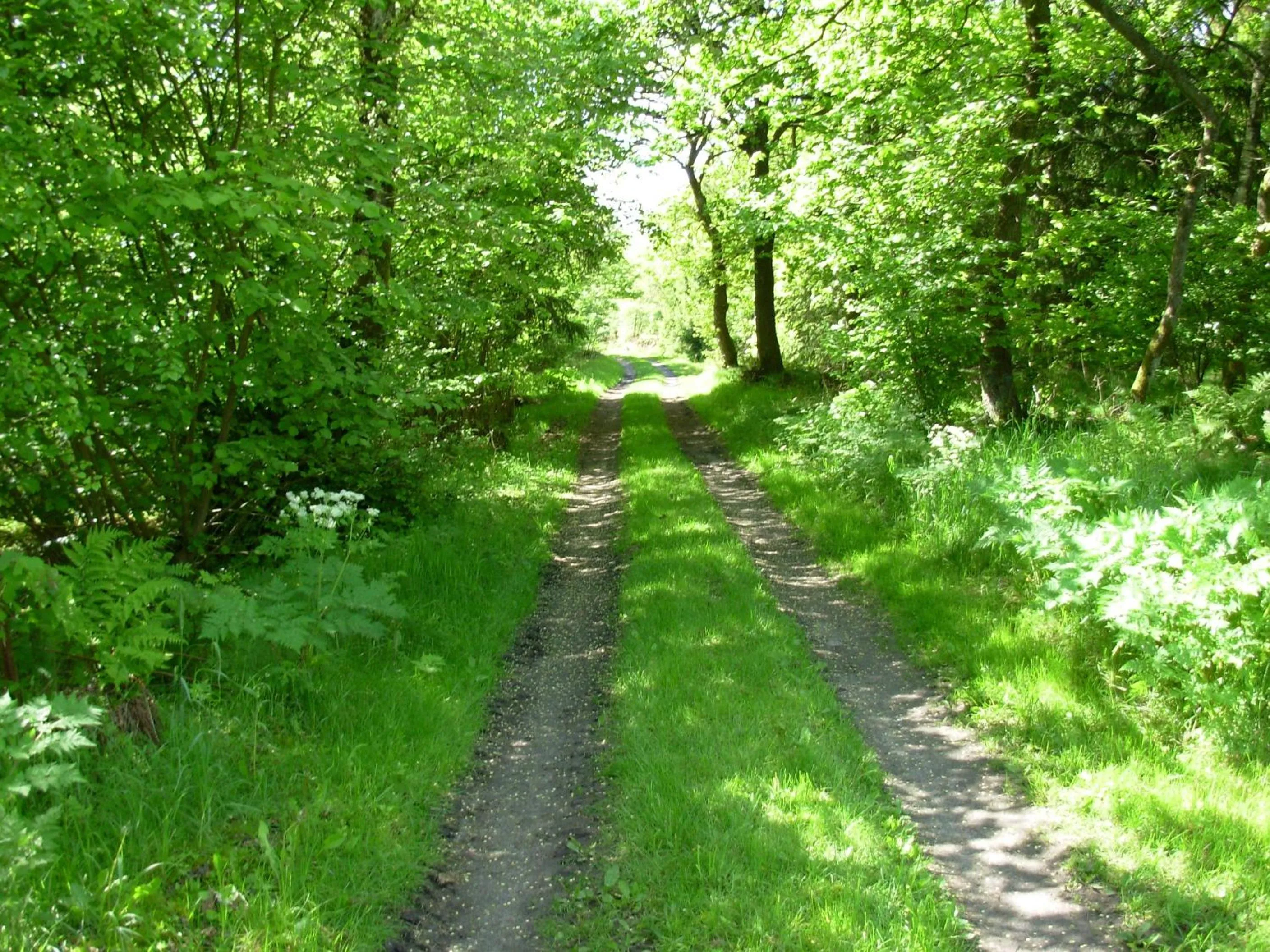 Area and facilities in Gregersminde