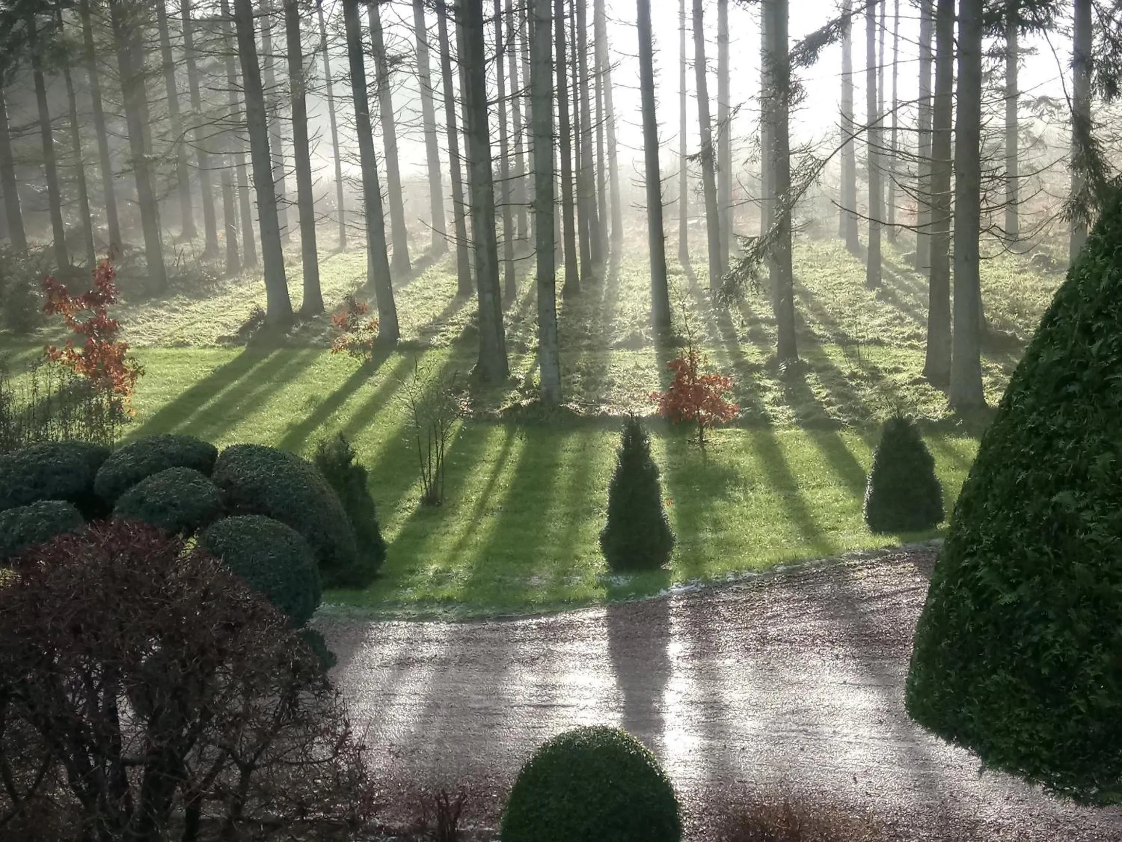 Garden view in Gregersminde