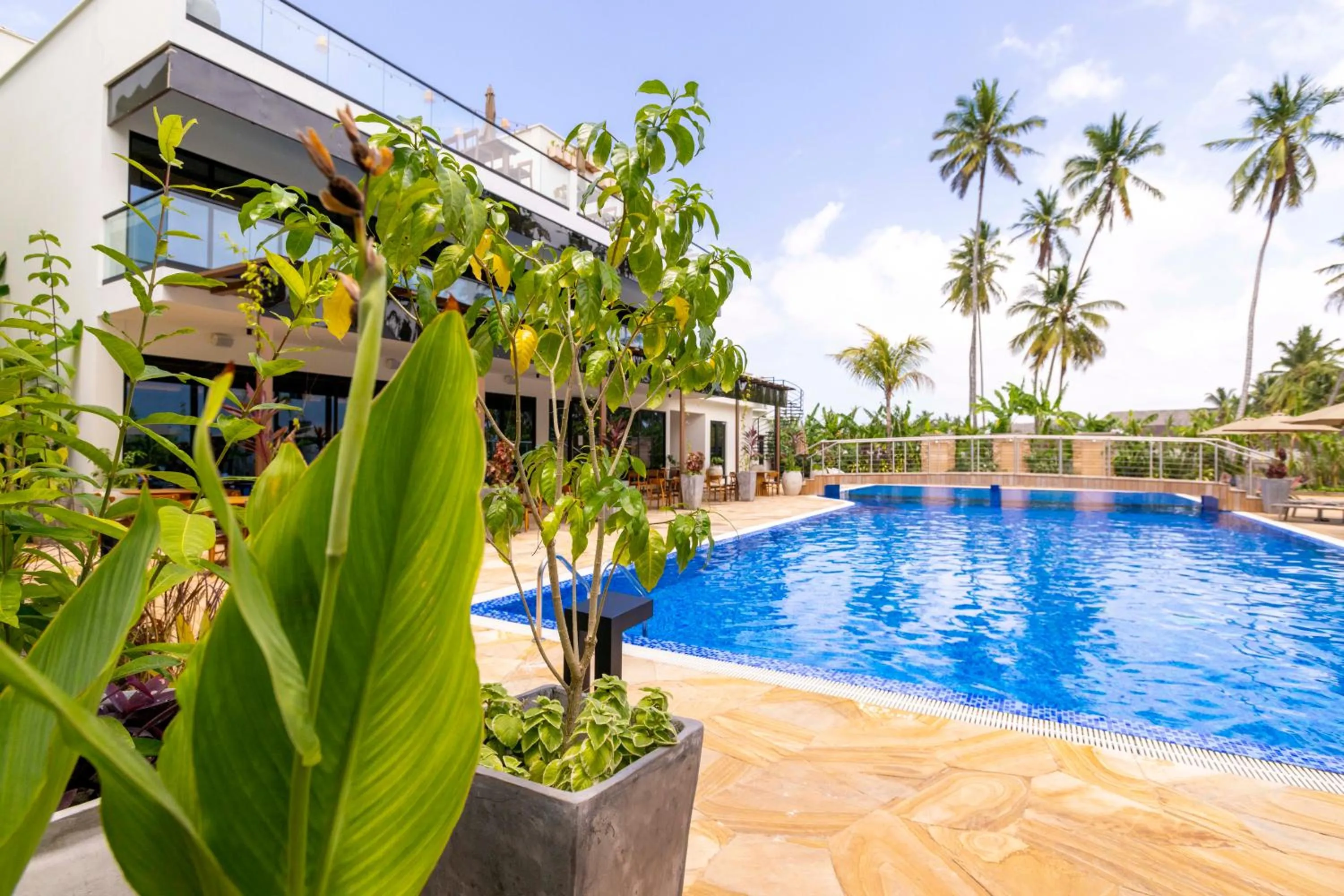 Swimming pool in TOA Hotel & Spa Zanzibar