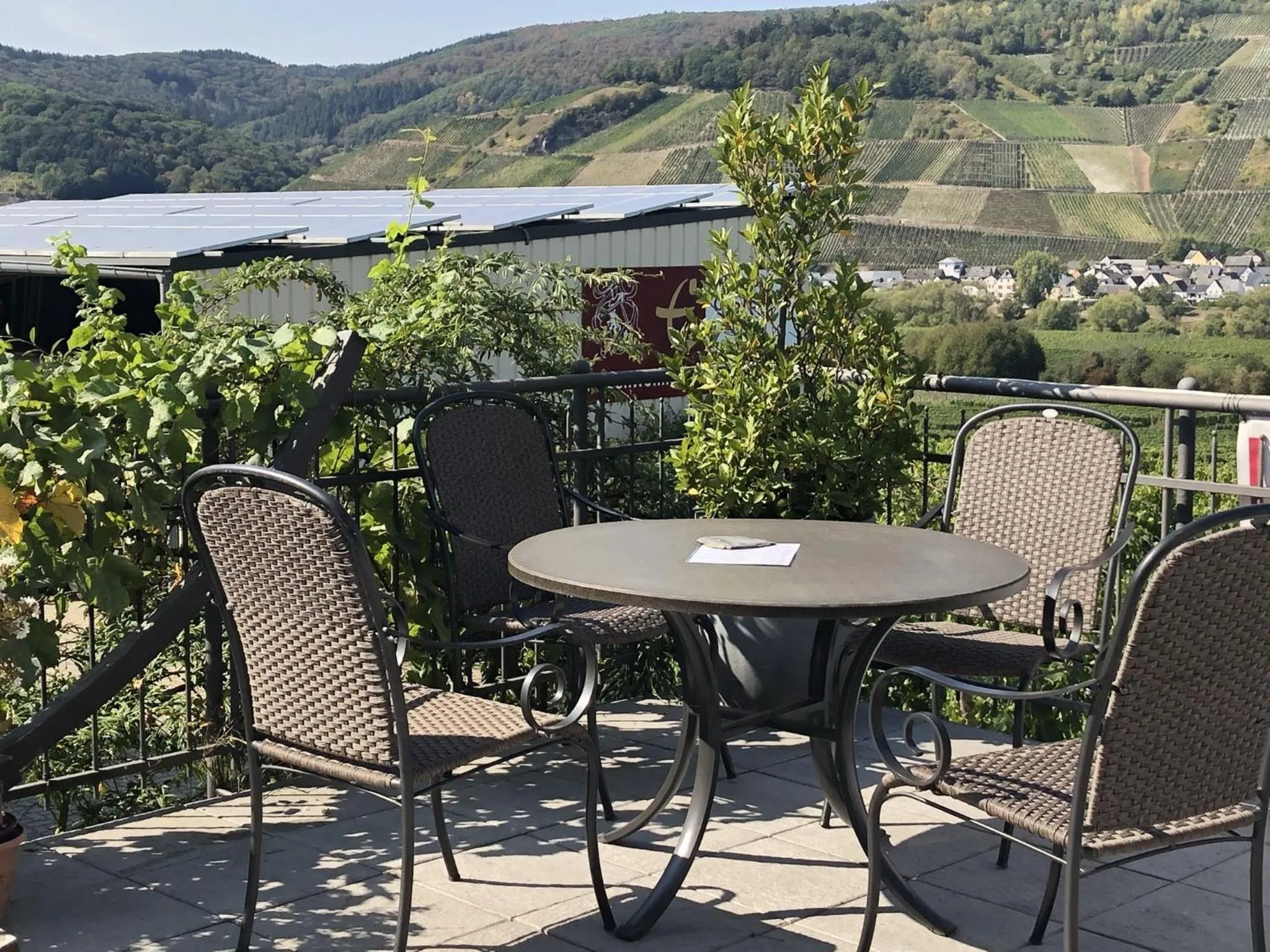 View (from property/room) in Weingut & Gästehaus Andreas Erz