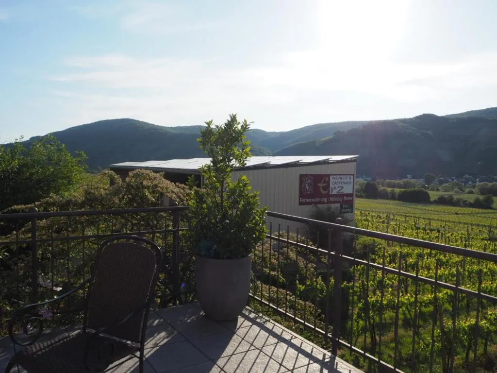 View (from property/room) in Weingut & Gästehaus Andreas Erz