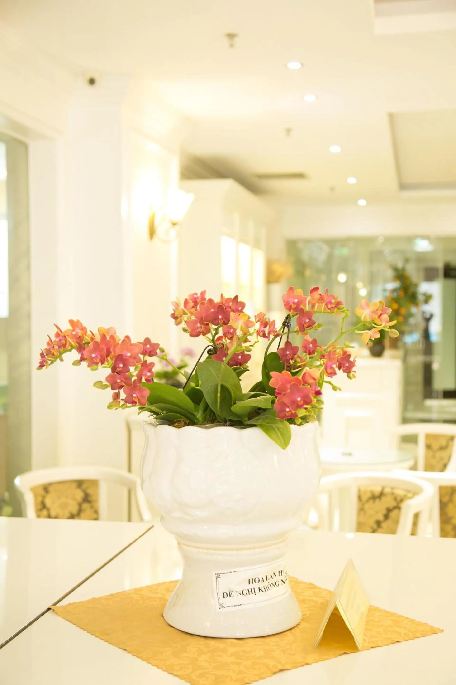 Lobby or reception in CityBay Palace Hạ Long Hotel