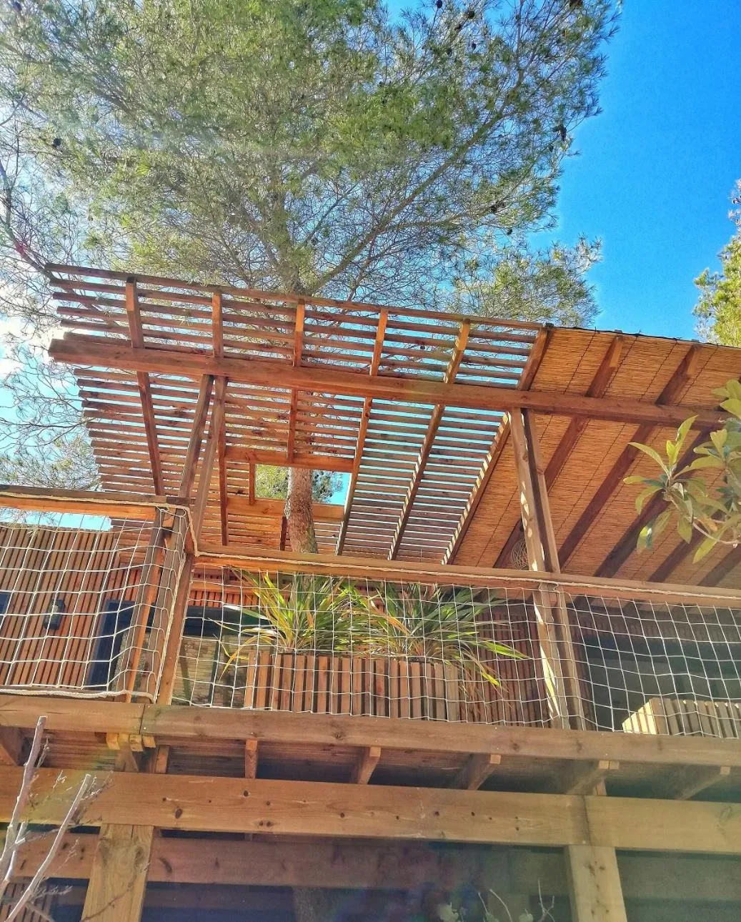 Balcony/Terrace in Villa Occitana