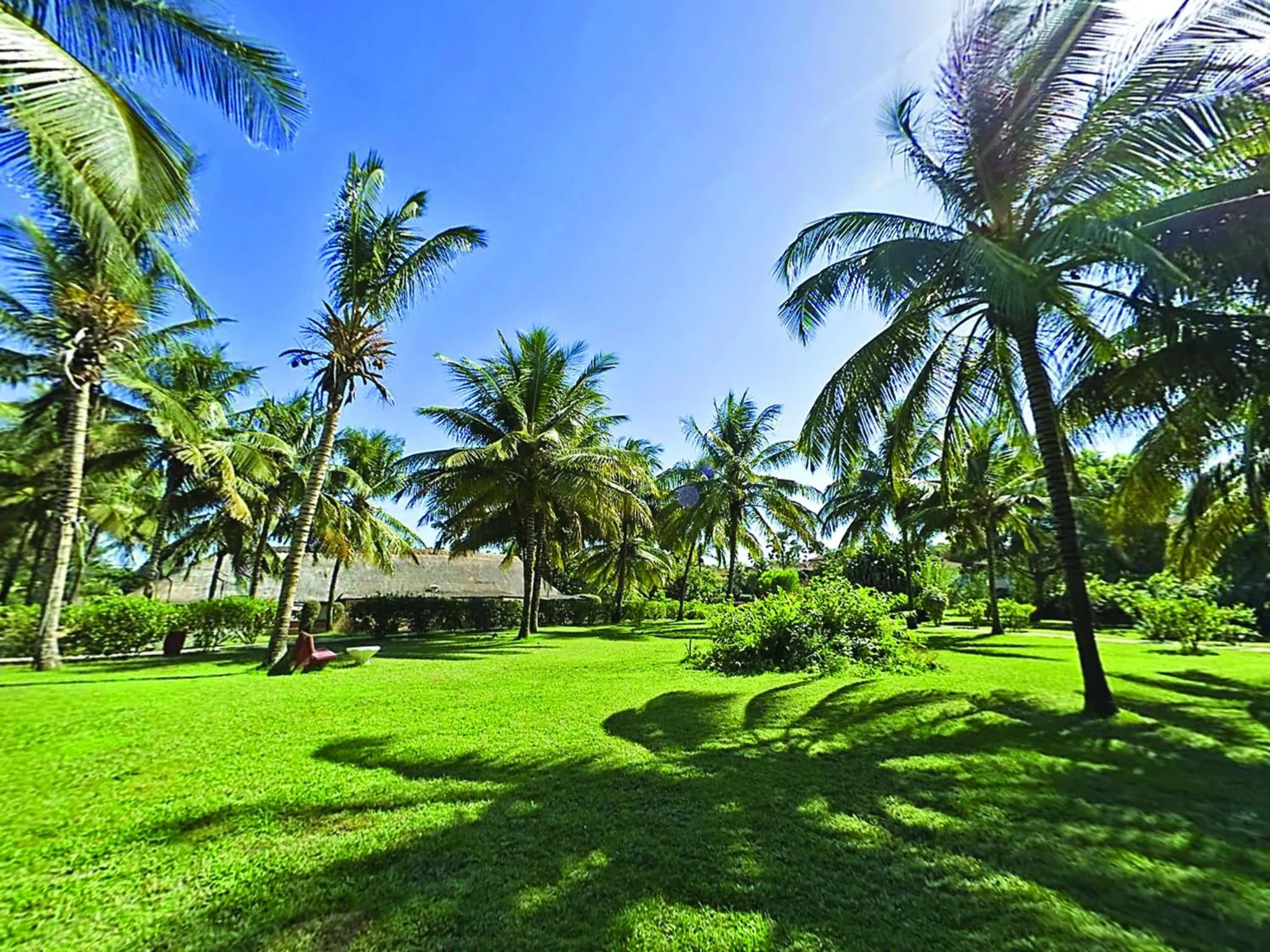 Garden in The Kairaba Beach Hotel