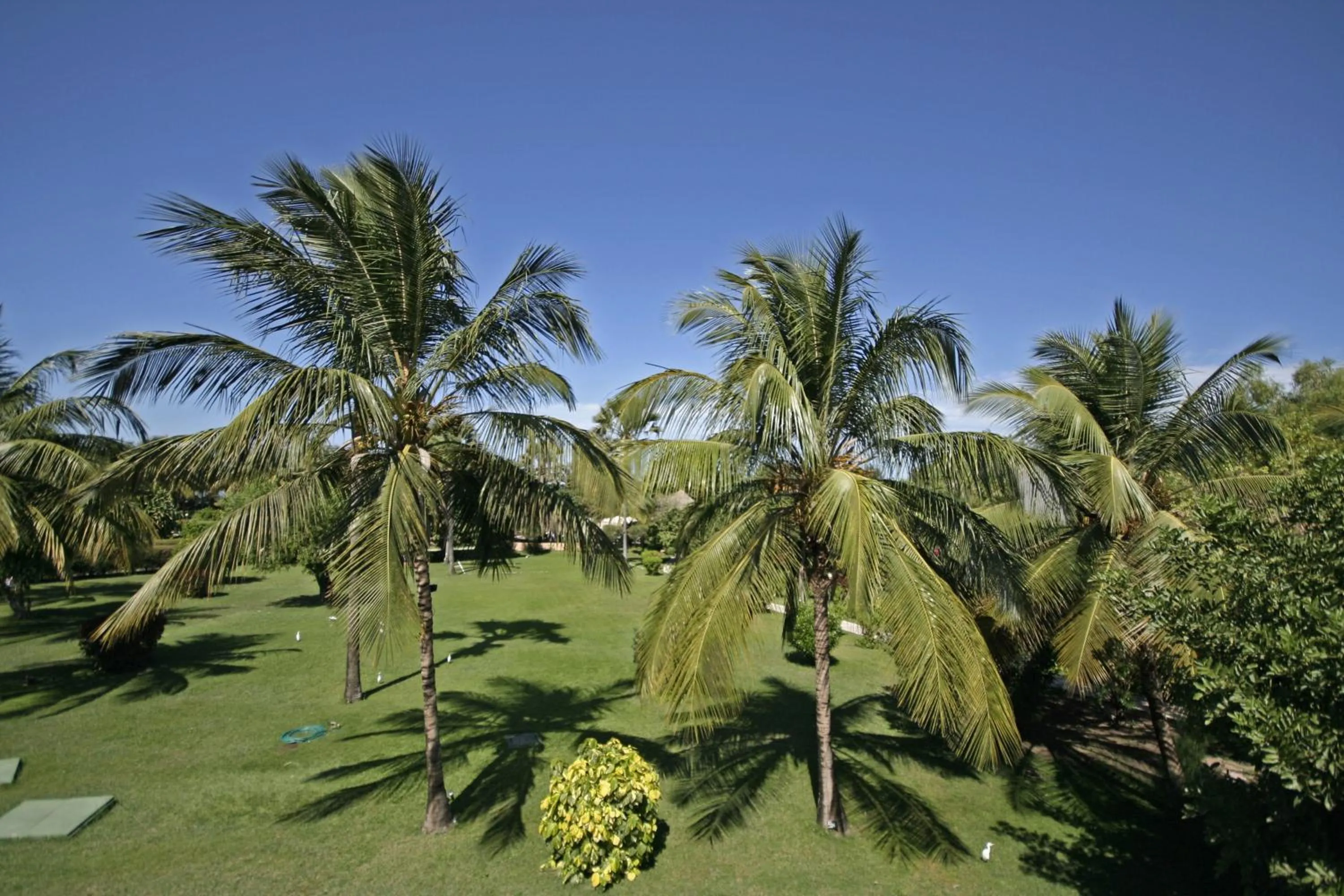 Garden in The Kairaba Beach Hotel