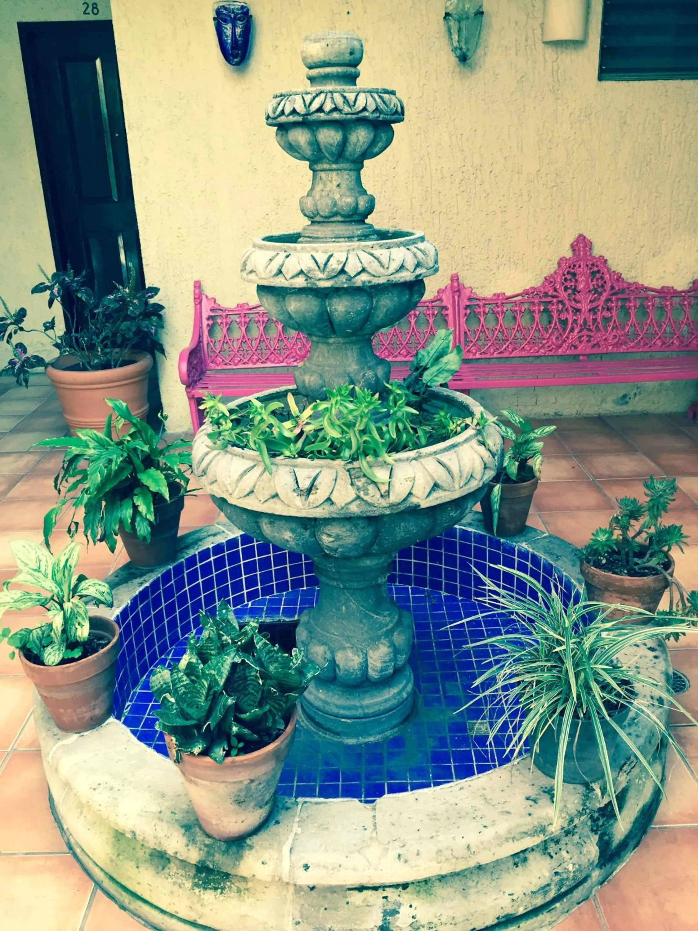 Area and facilities in Hotel Villa Del Sol Expo