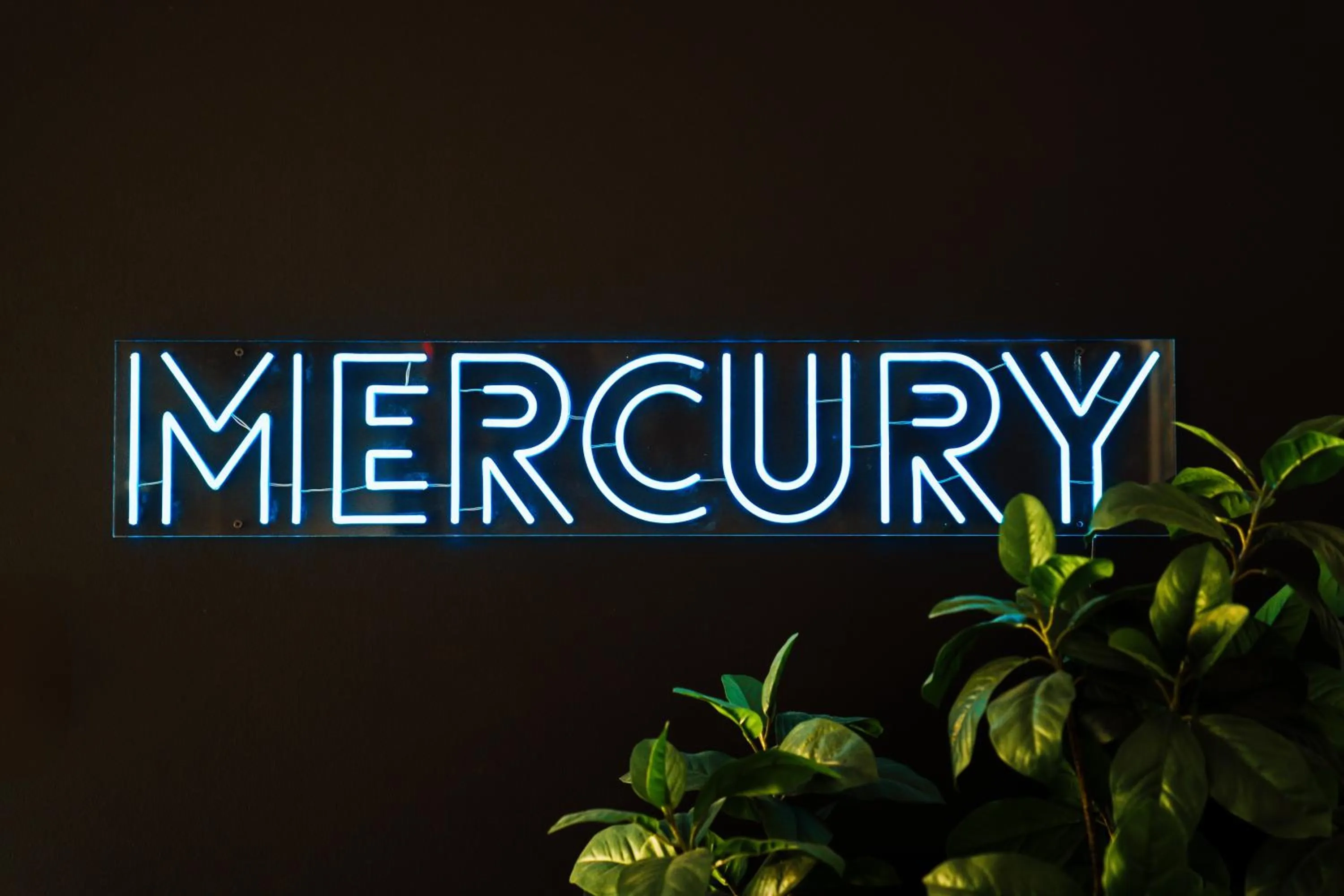 Logo/Certificate/Sign in Beaconlight Guest House