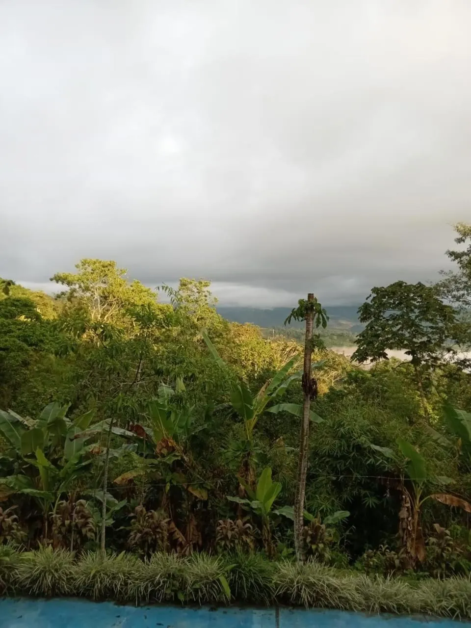 Hotel Green Mountain turrialba