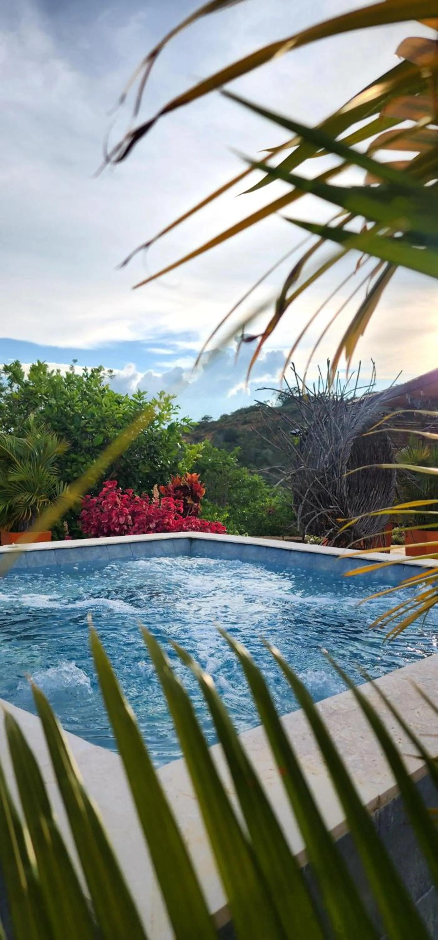 Spring in Hotel AMANEE