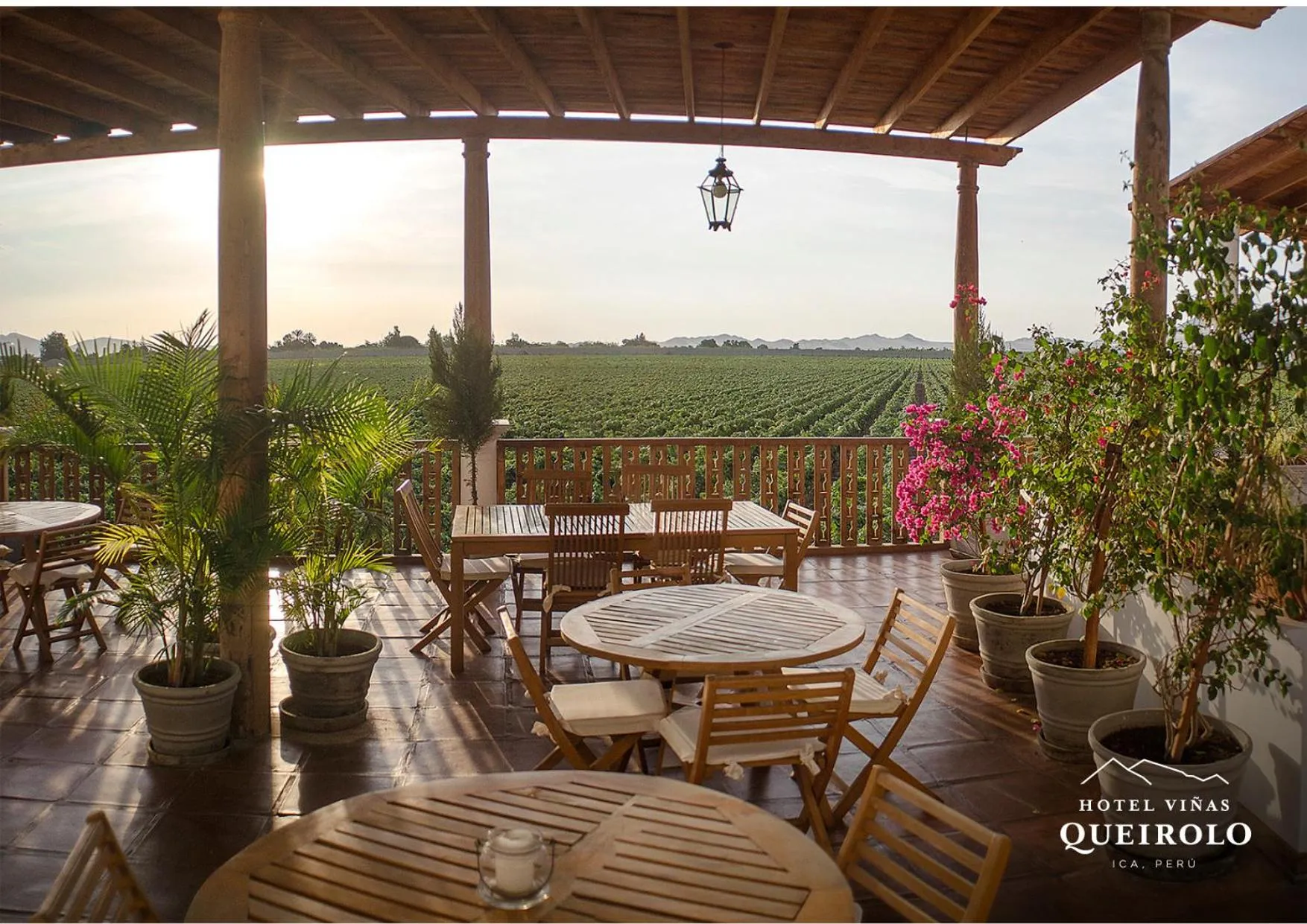 Restaurant/places to eat in Hotel Viñas Queirolo