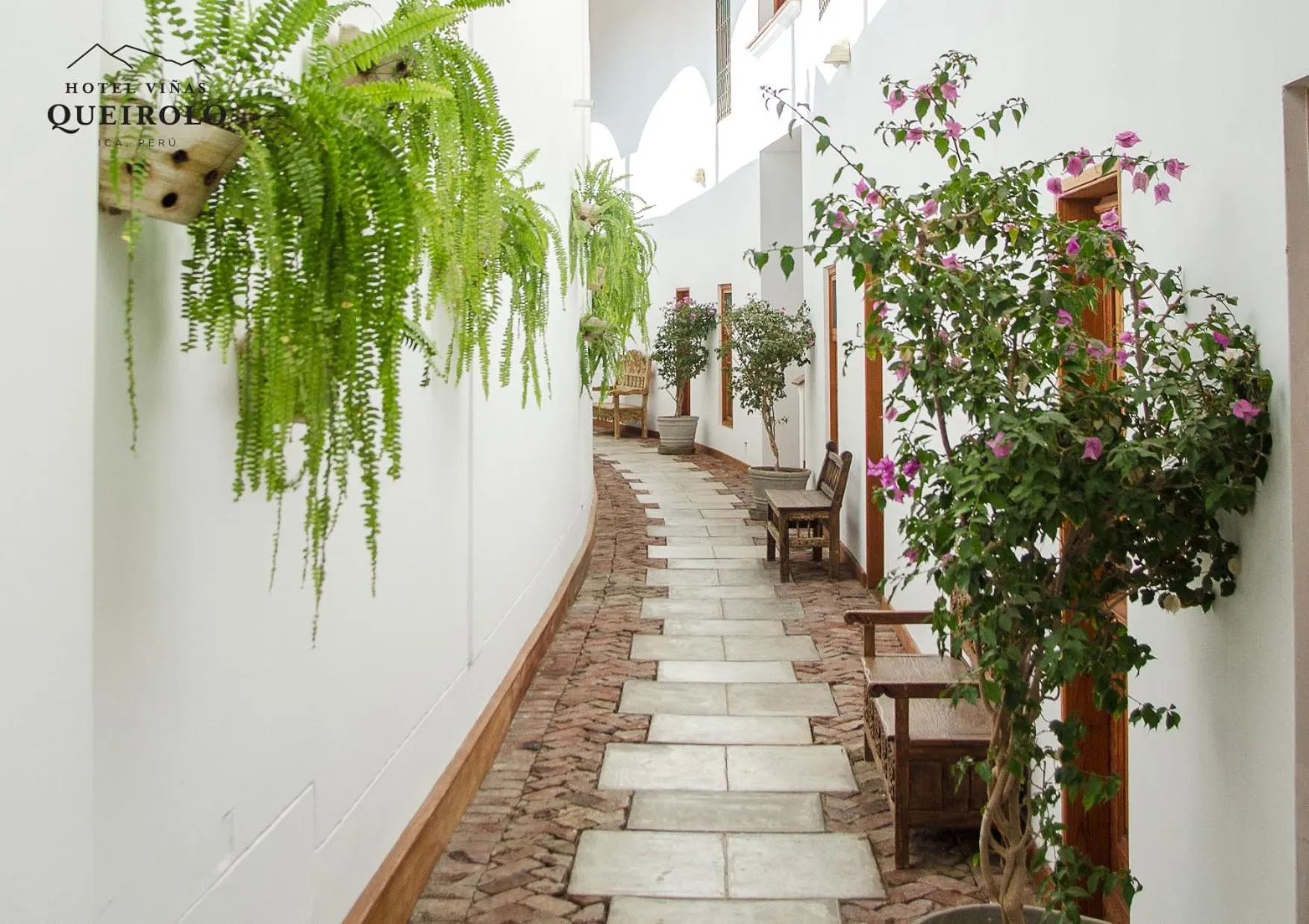 View (from property/room) in Hotel Viñas Queirolo