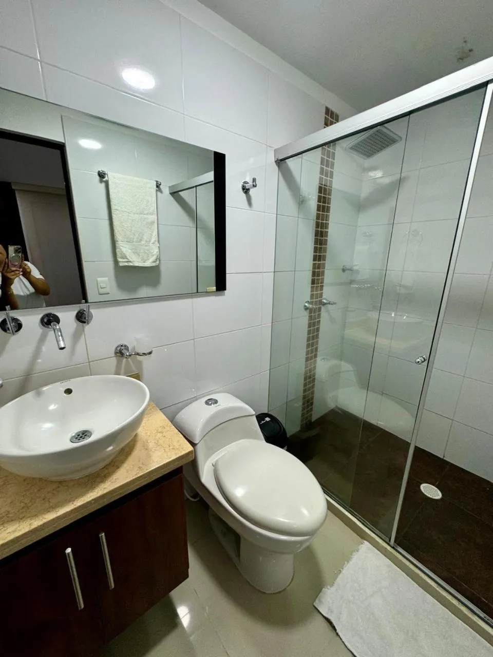 Hotel Ipanema Meridian