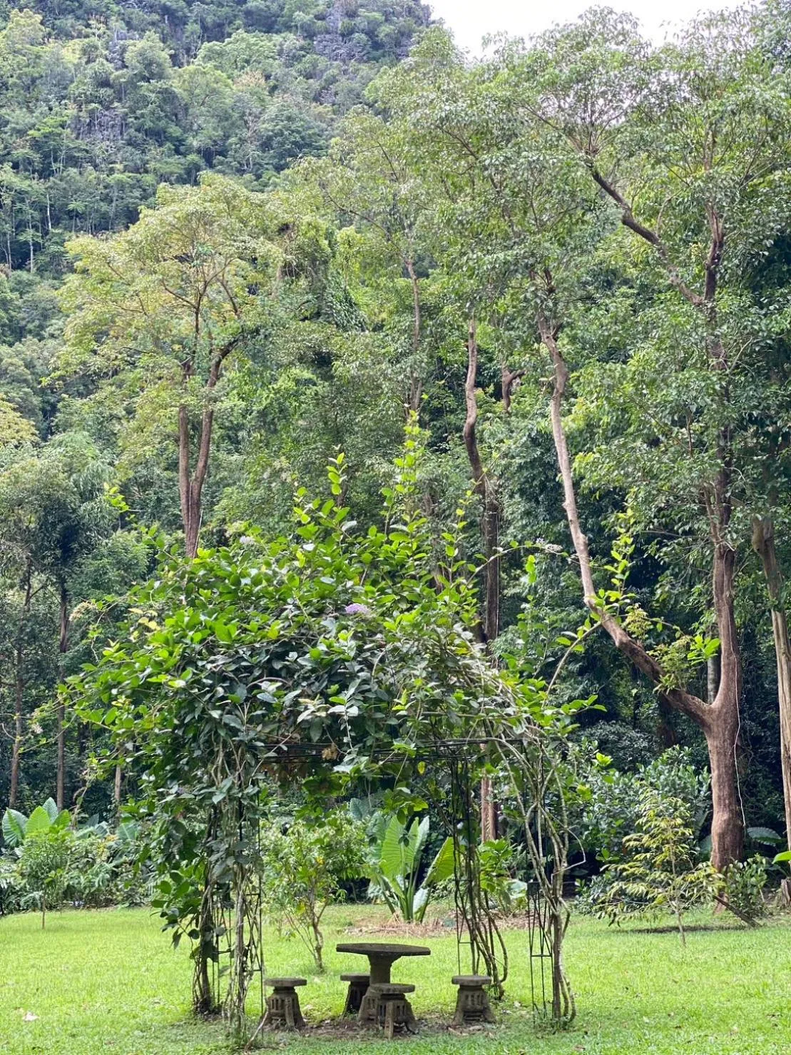 Garden view in Khao Sok Nature Resort