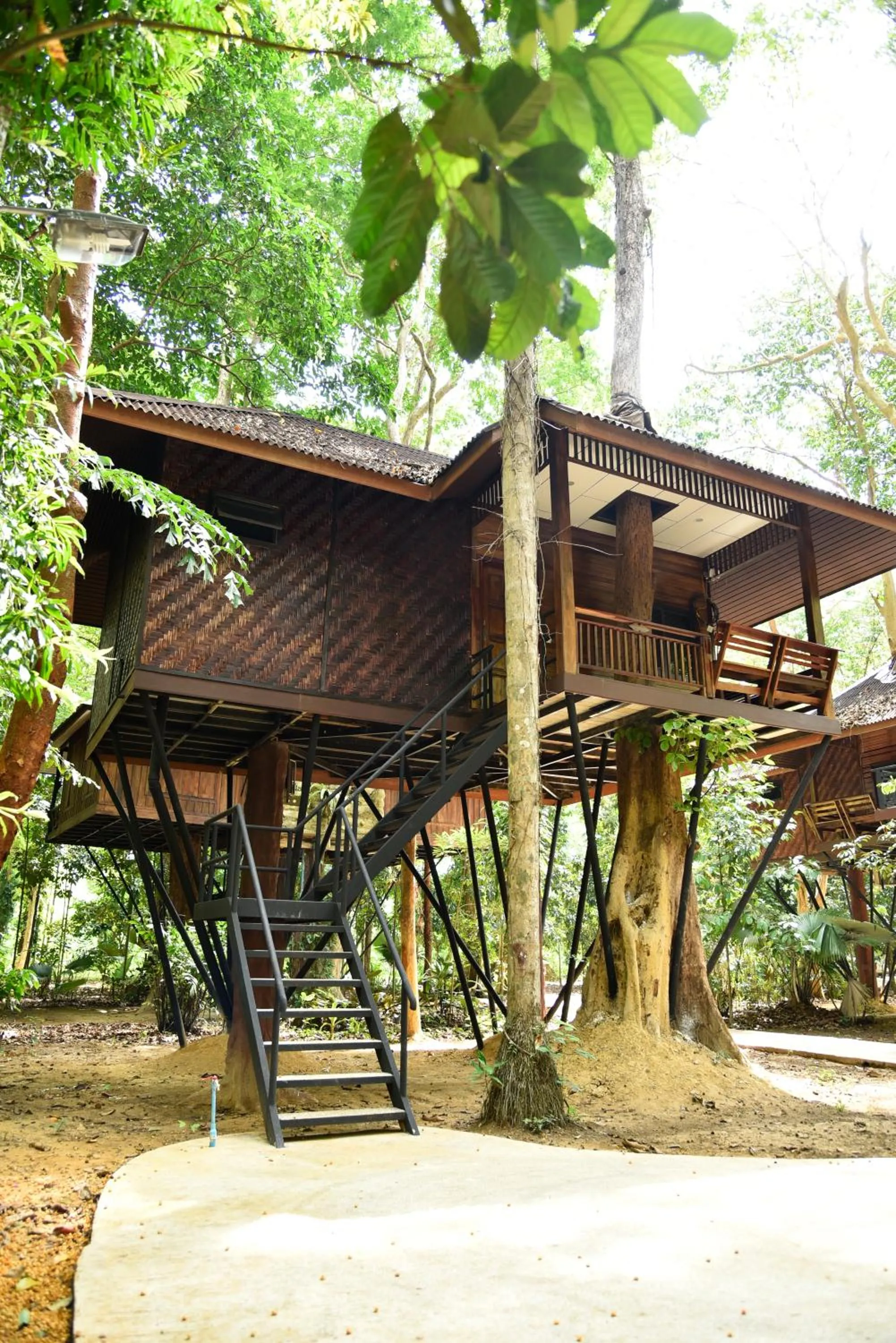 Property building in Khao Sok Nature Resort