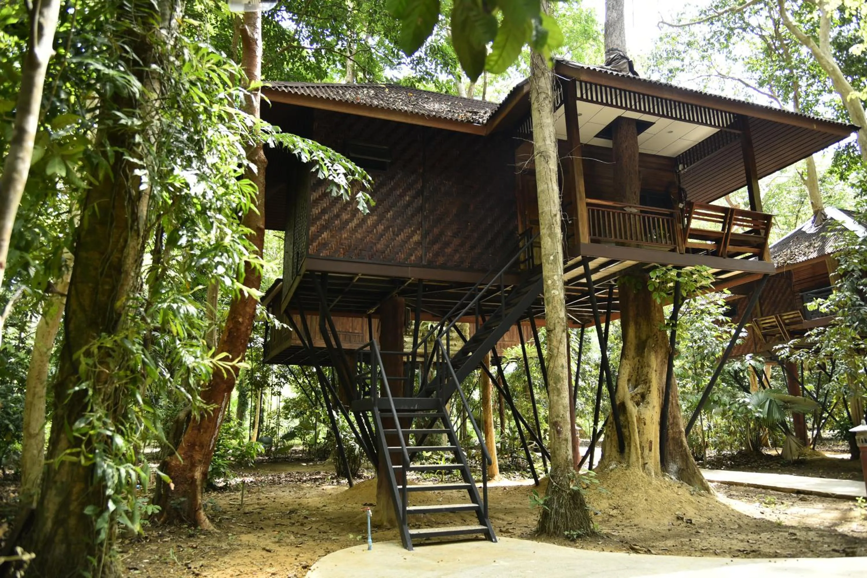 Property building in Khao Sok Nature Resort