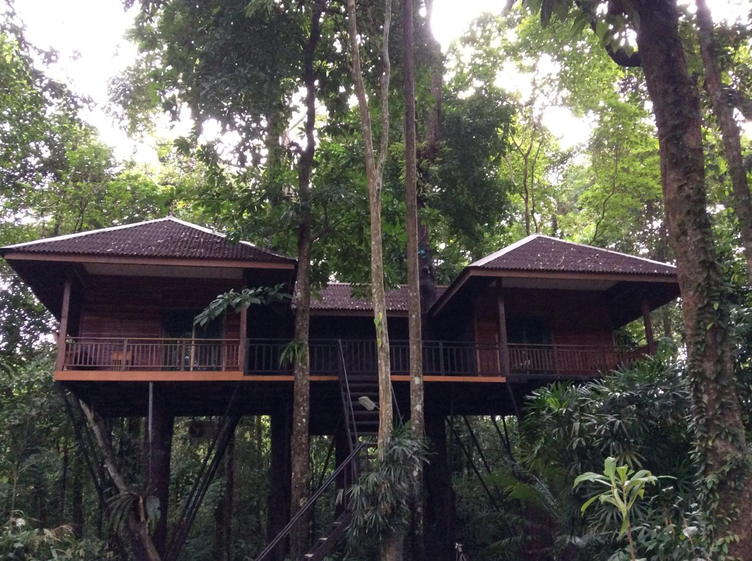 Khao Sok Nature Resort