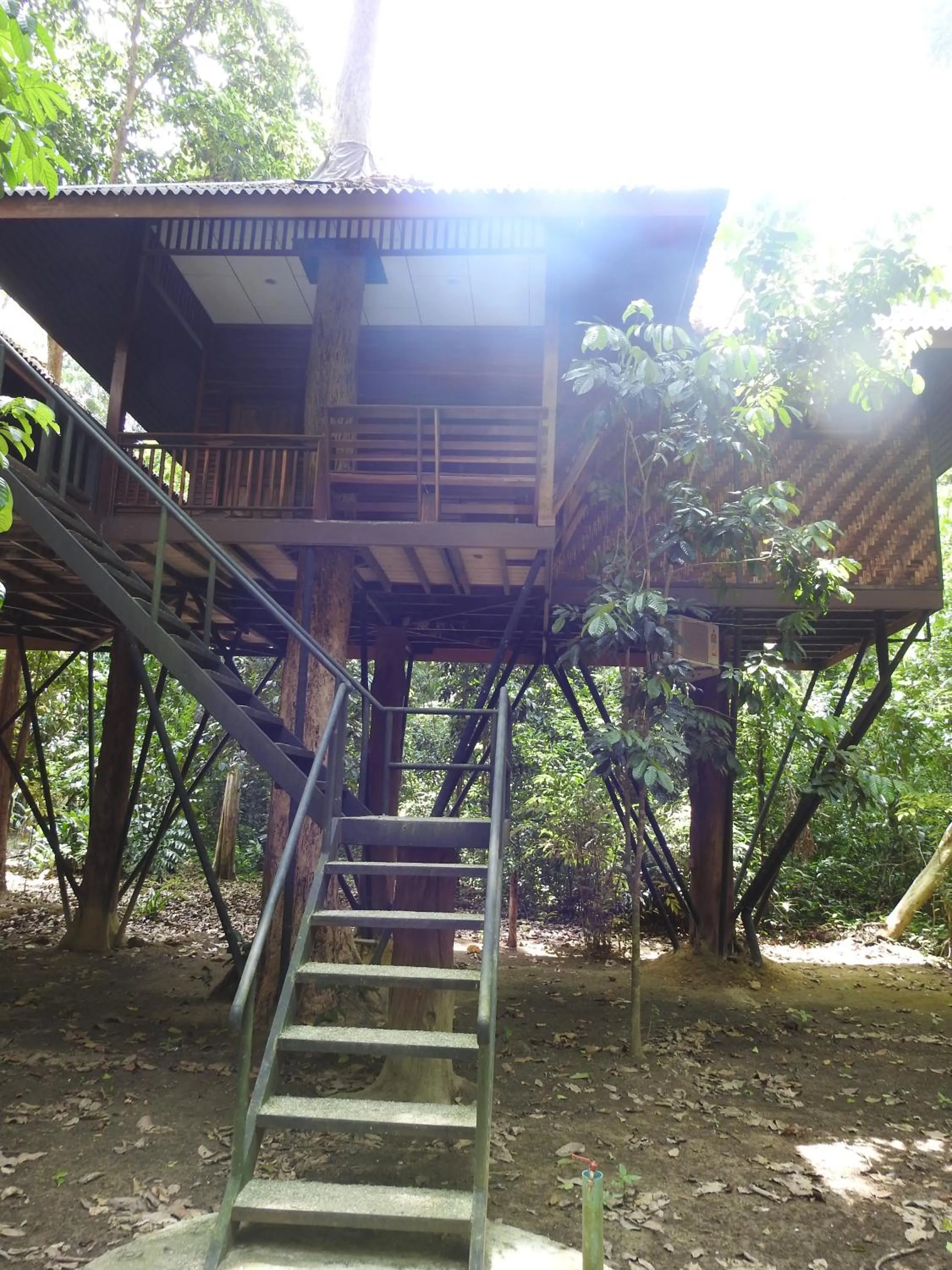 Facade/entrance in Khao Sok Nature Resort