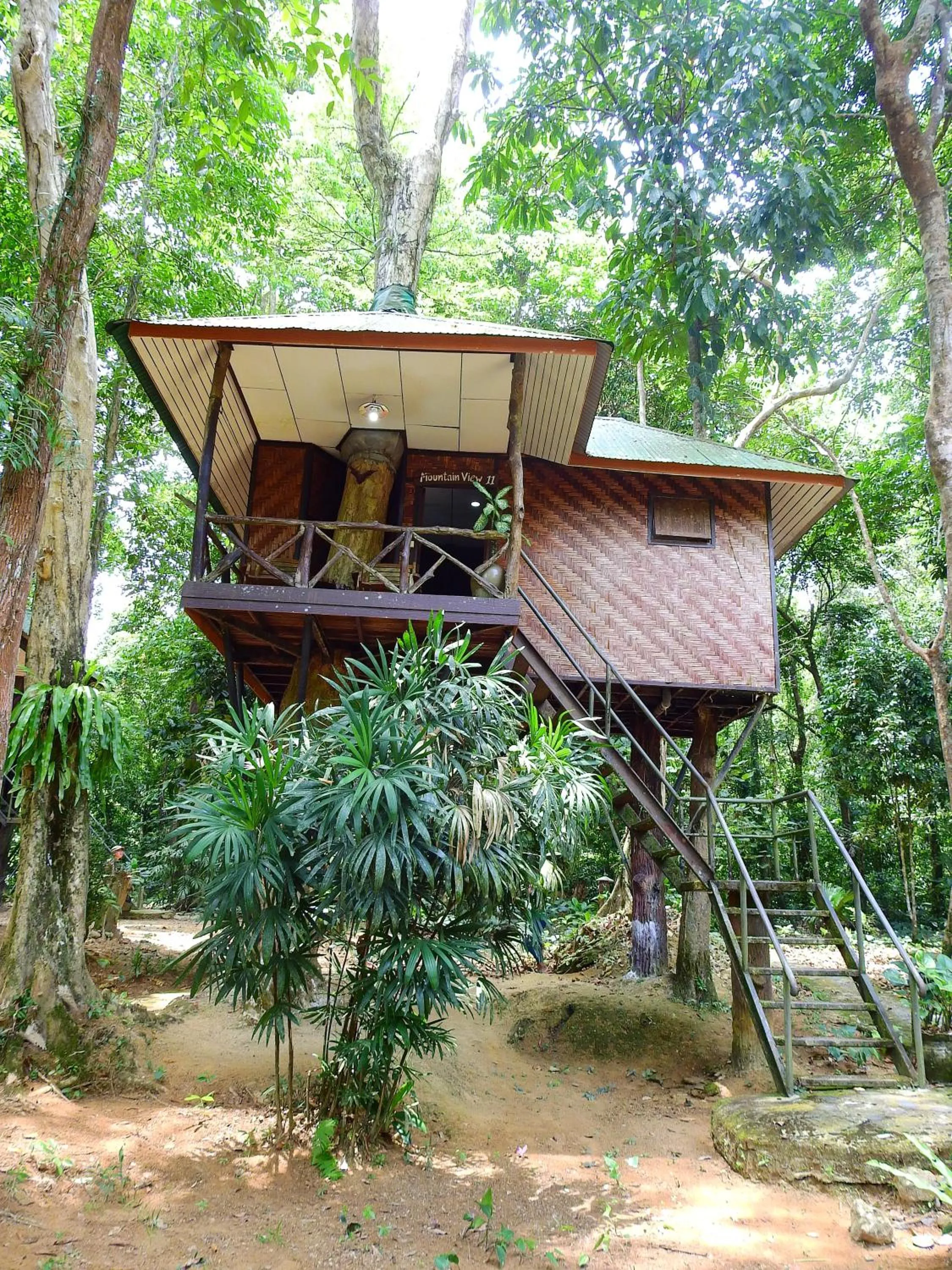 Property building in Khao Sok Nature Resort
