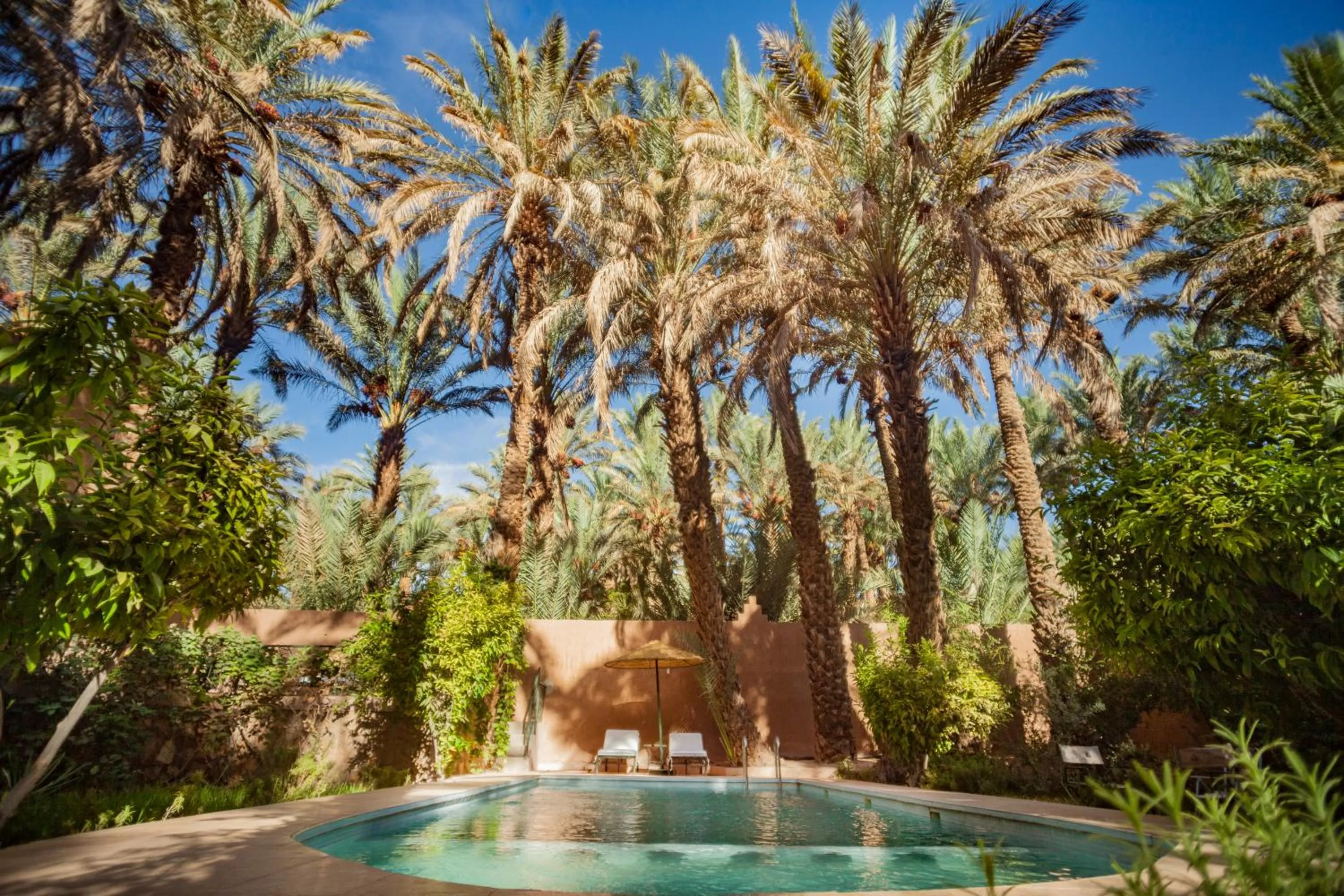 Swimming pool in Guest house in oasis amazrou Zagora south est Maro