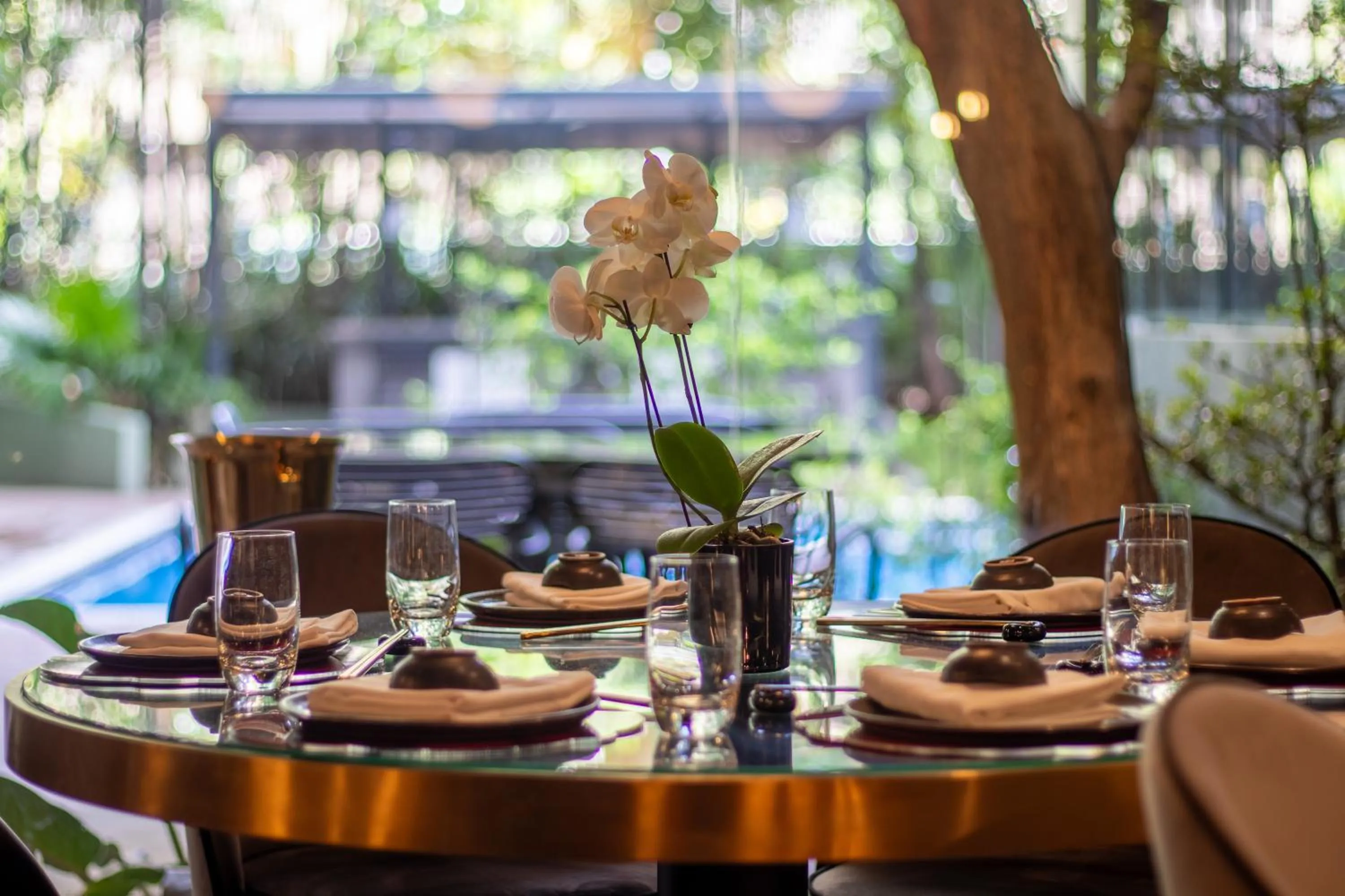 Restaurant/places to eat in HOTEL ALTAMIRA SUITES