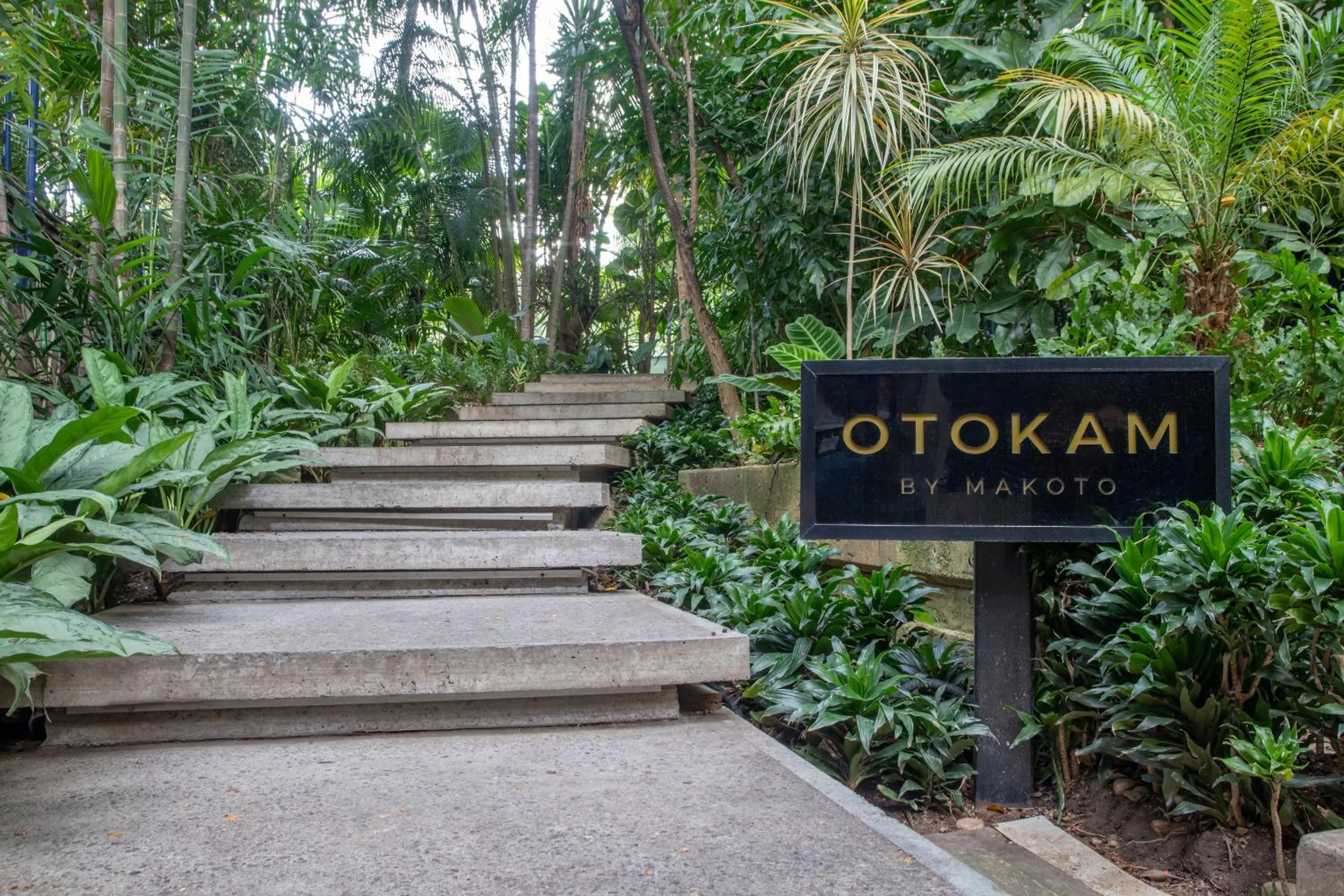 Restaurant/places to eat in HOTEL ALTAMIRA SUITES