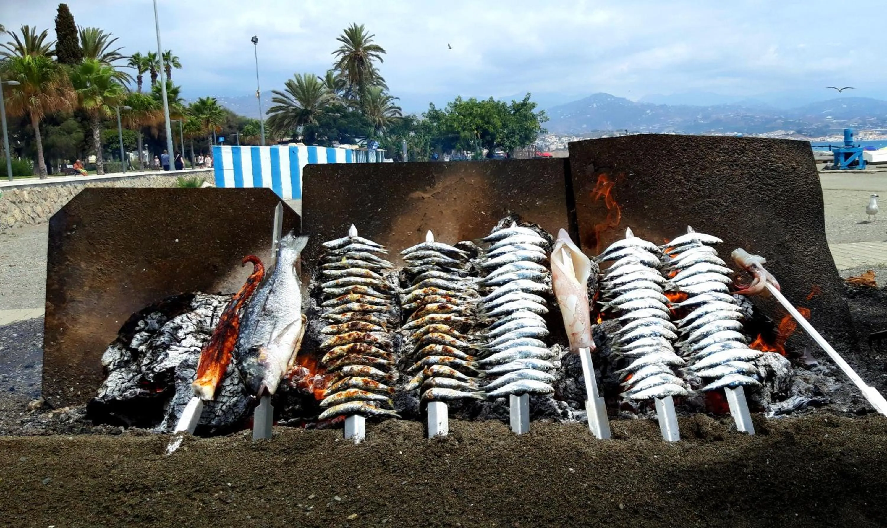 BBQ facilities in B&B Villa Deseada