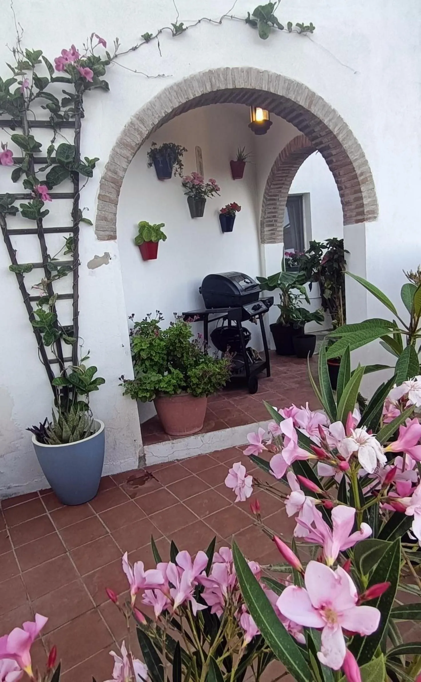 Patio in B&B Villa Deseada