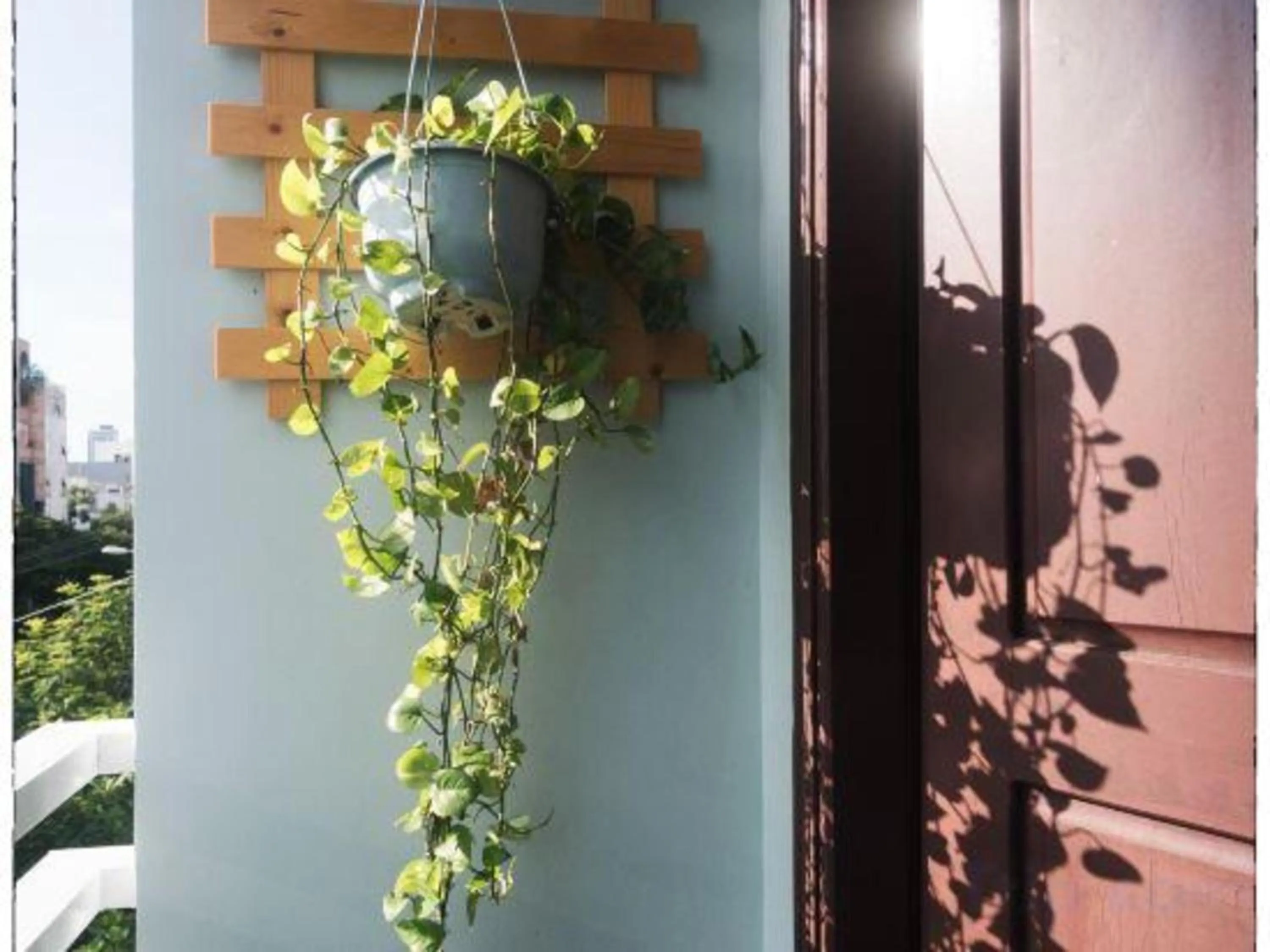 Garden view in OYO 1168 Elly's Home 2