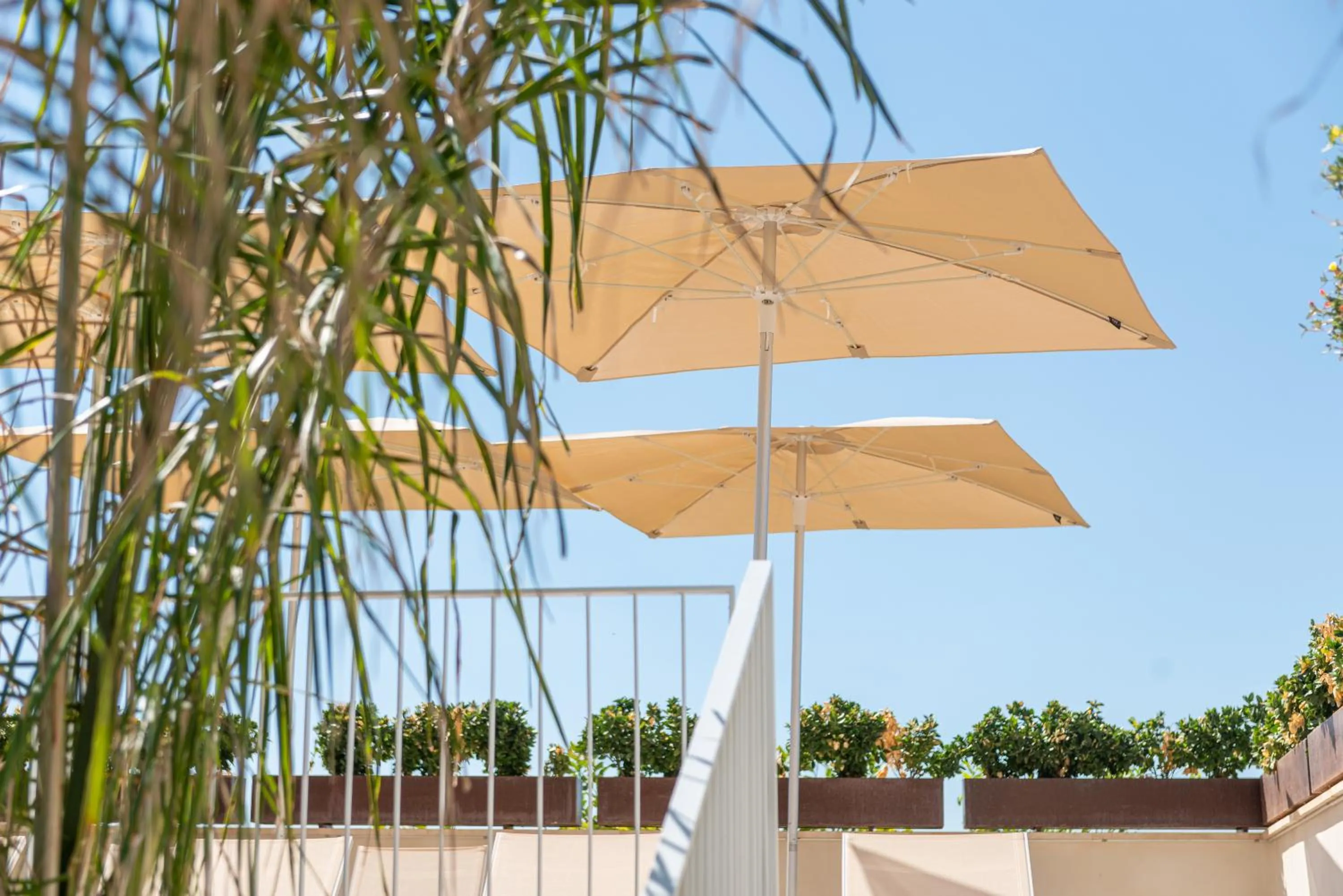 Garden view in Placeta Vella Turismo de Interior