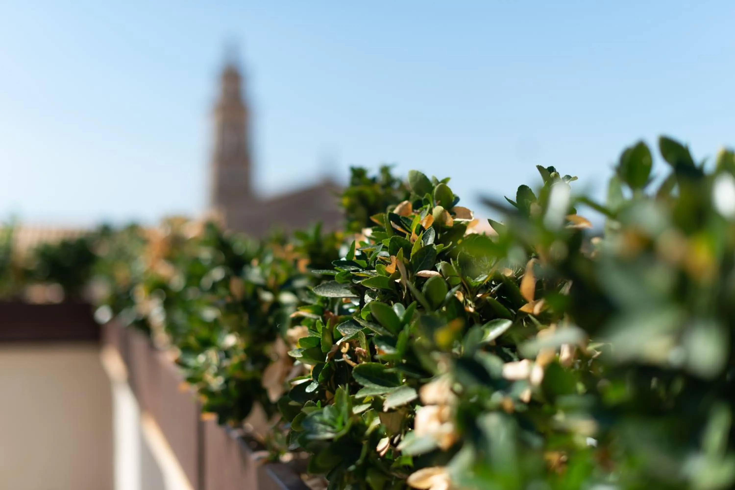 Day in Placeta Vella Turismo de Interior
