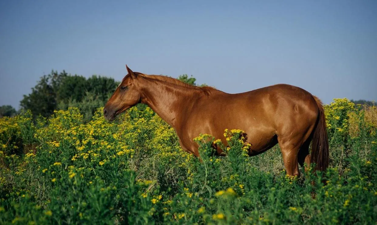Nearby landmark in Villa Rio by Valada Village