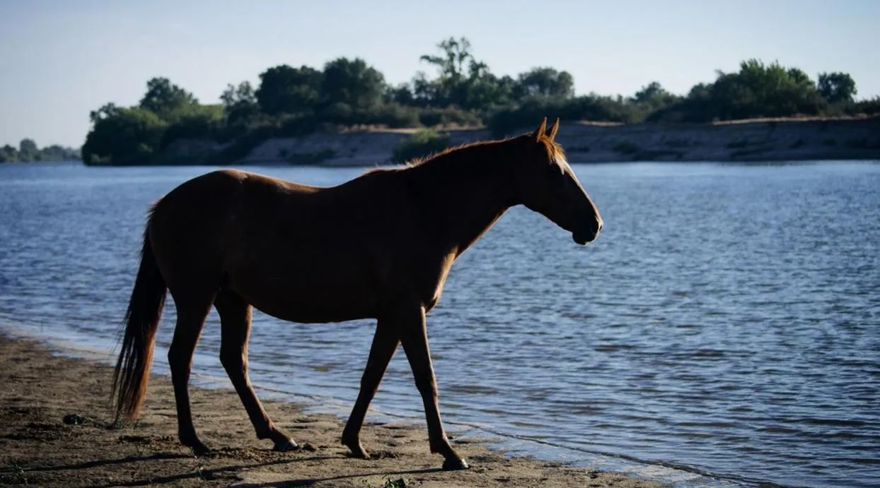 Nearby landmark in Villa Rio by Valada Village
