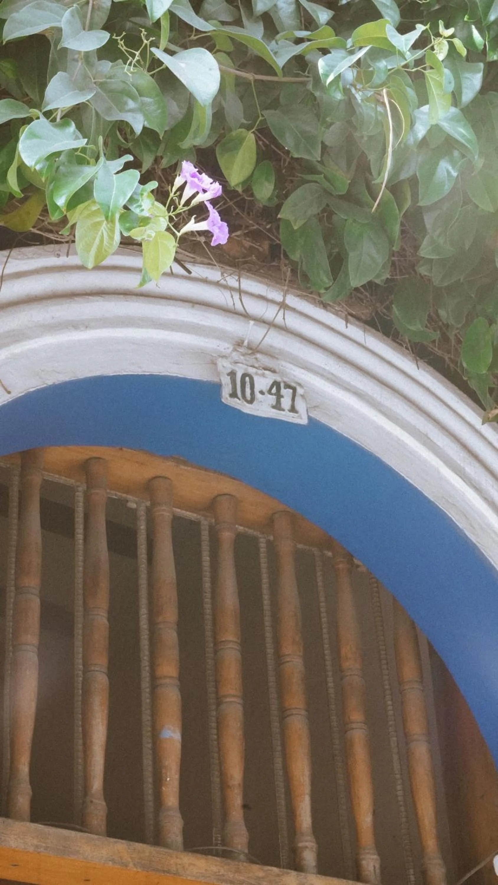 Facade/entrance in Hostal Luna Llena Getsemaní