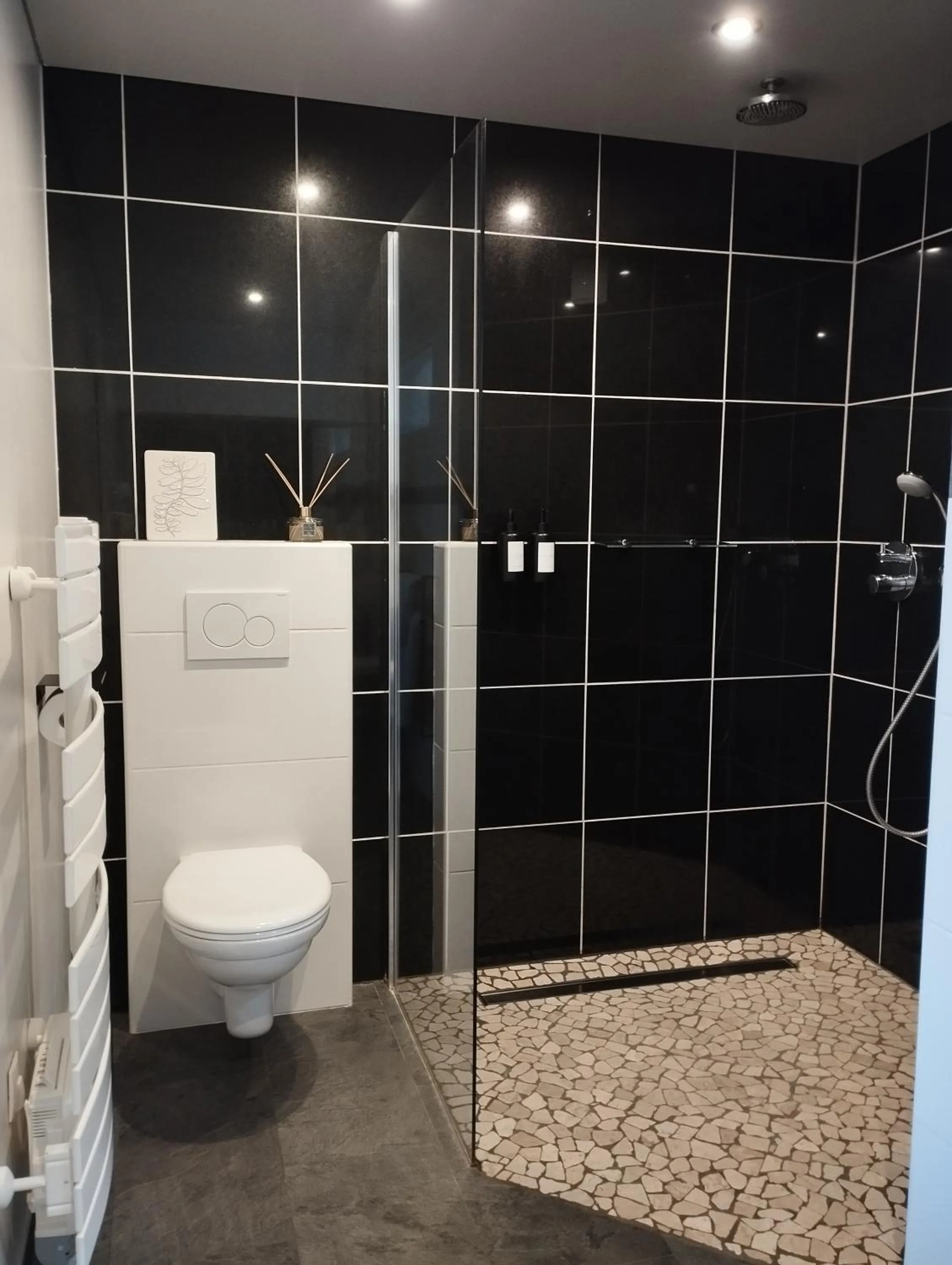 Toilet in Au coucher du lac