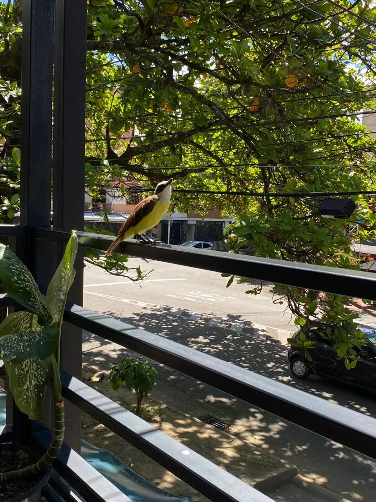 Balcony/Terrace in Hotel Nakama