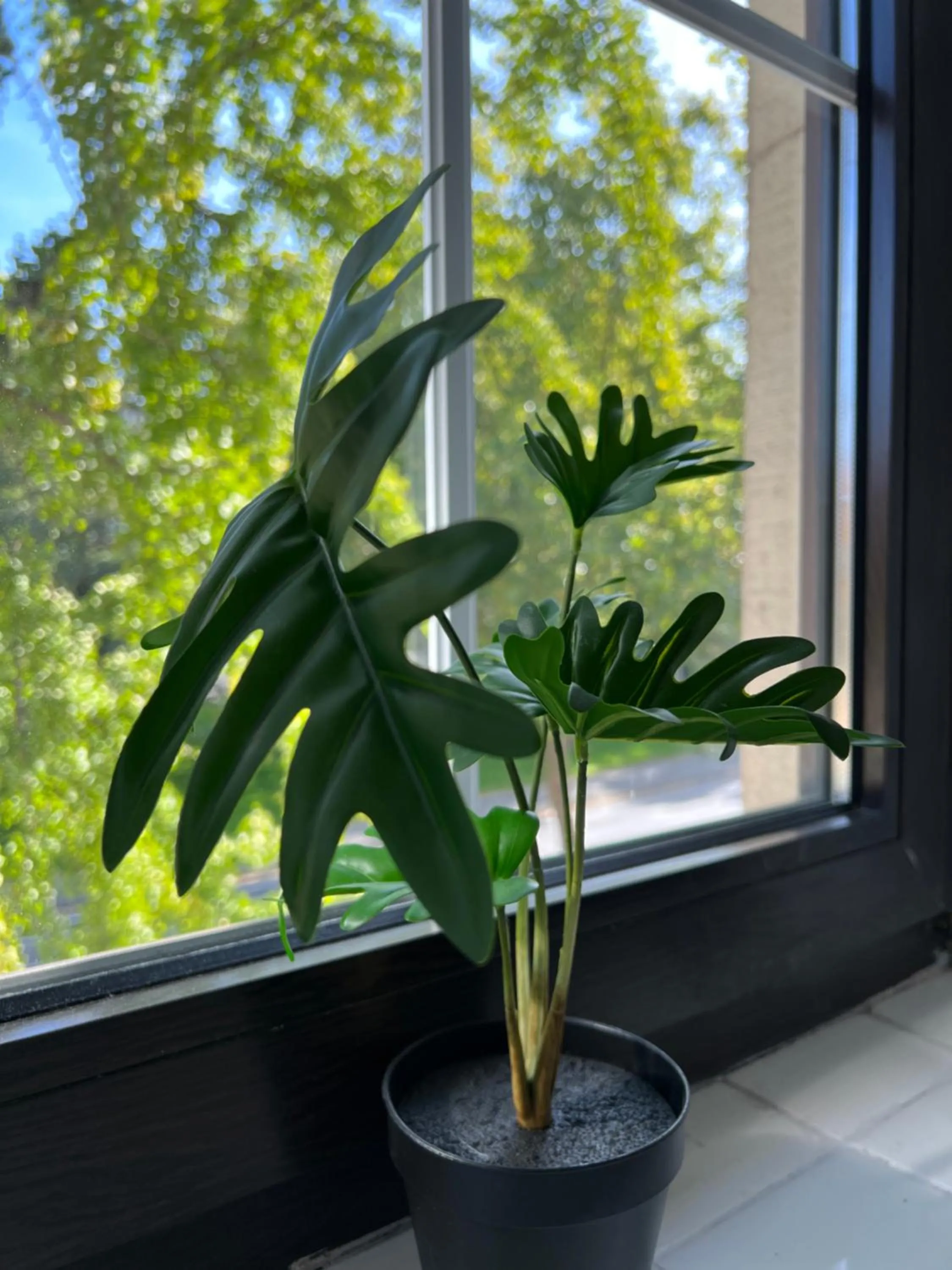 View (from property/room) in Geroweiher Doppelbettzimmer Mönchengladbach Stadtmitte