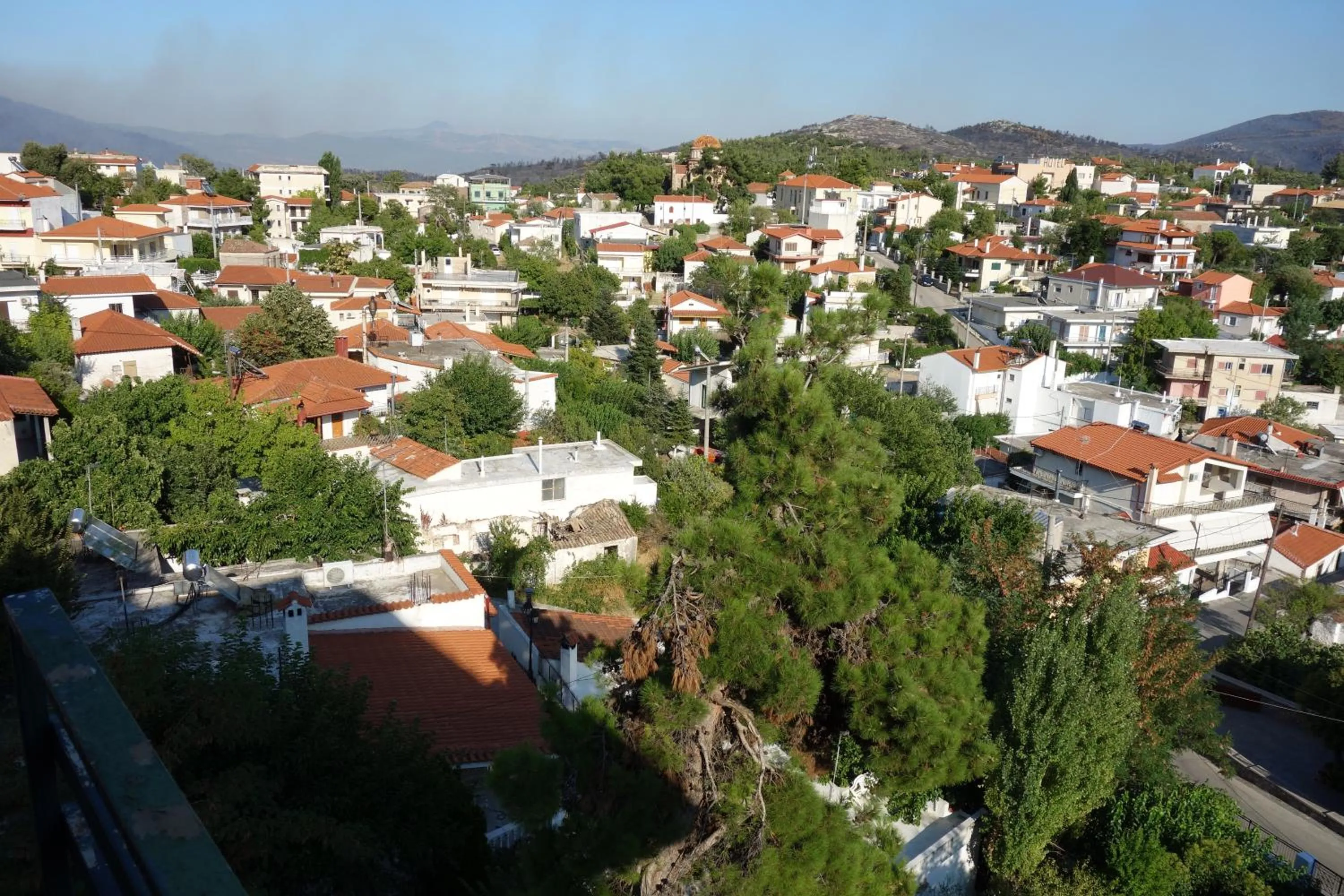 Bird's eye view in ARION