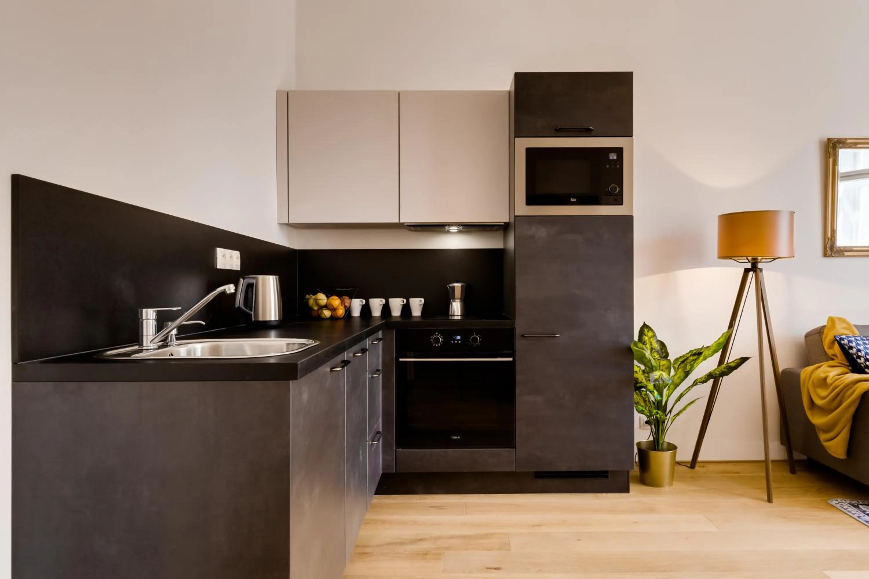 Kaizl Park Residence