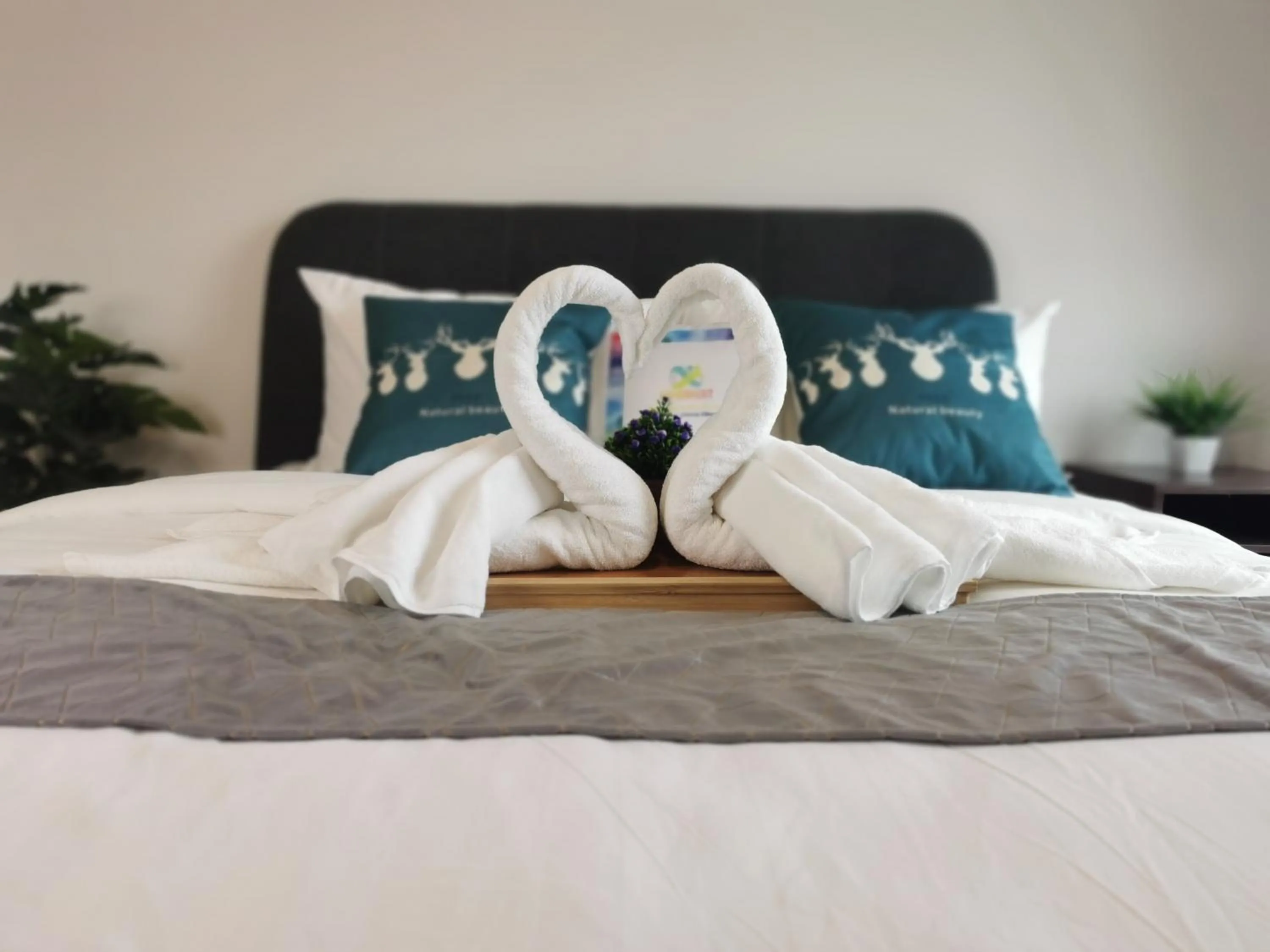 Bed in Continew Residence by HomeBrickz