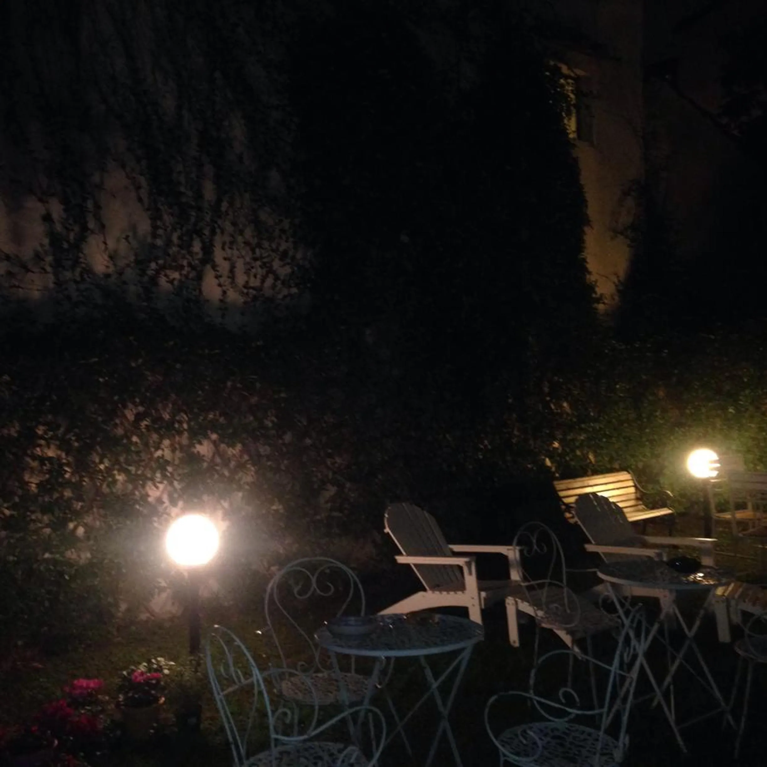 Garden in Cosy House